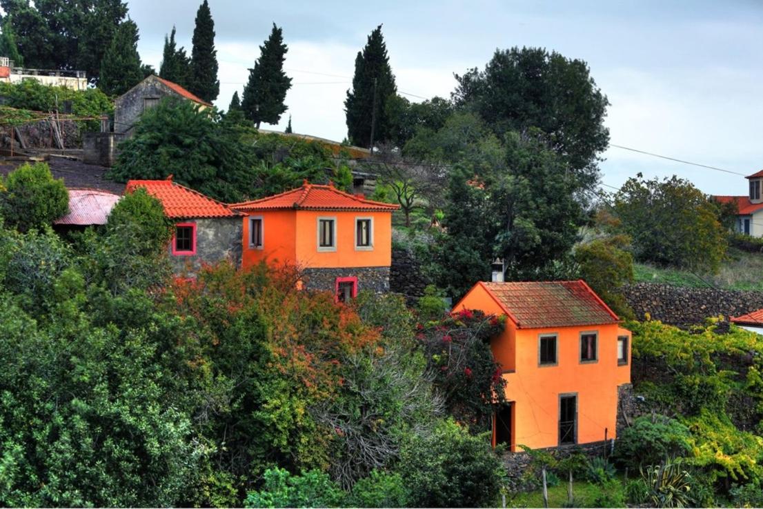 Holiday Home Levada  photo 2