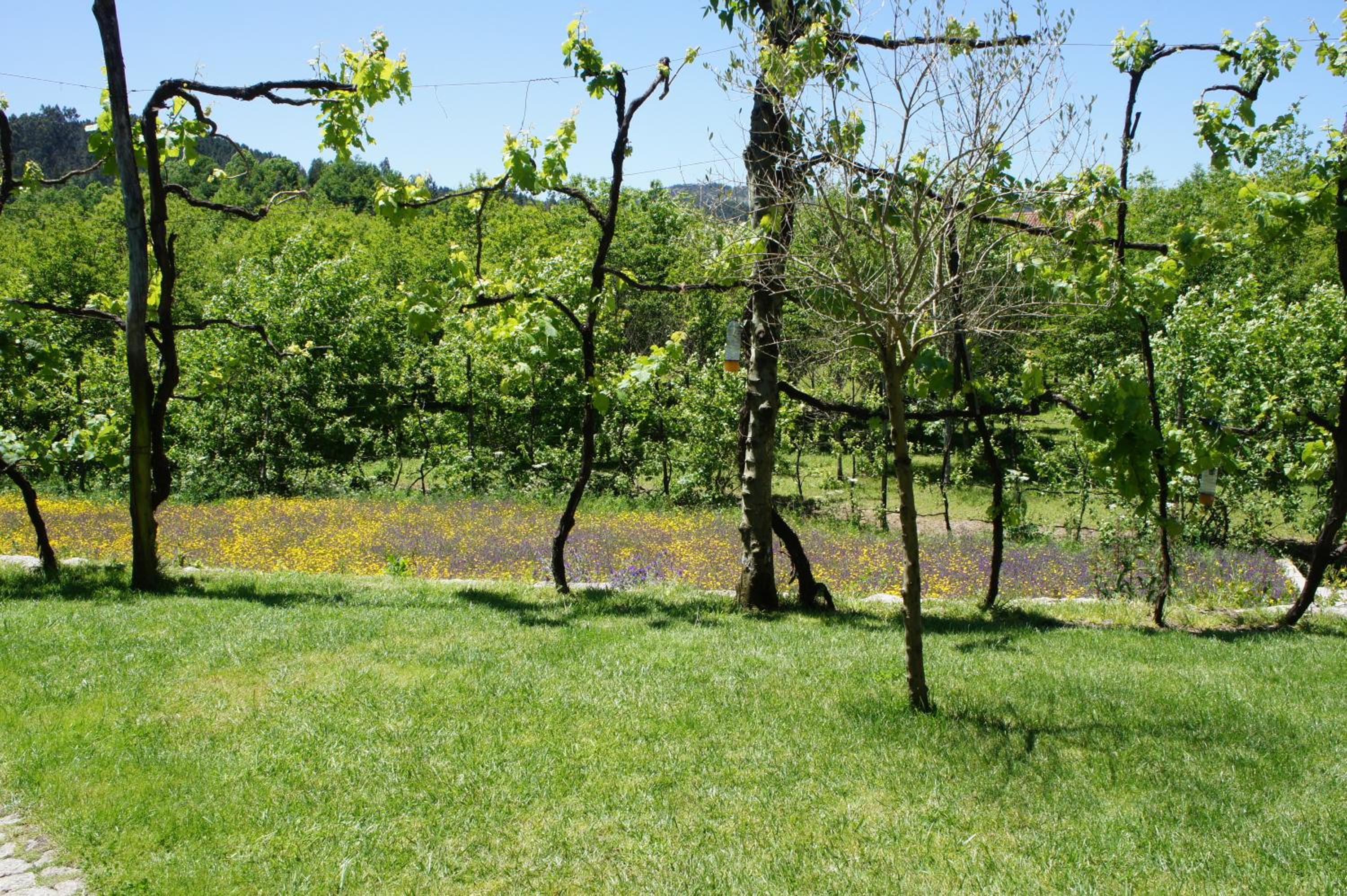 Villa with Garden View - Photo 35