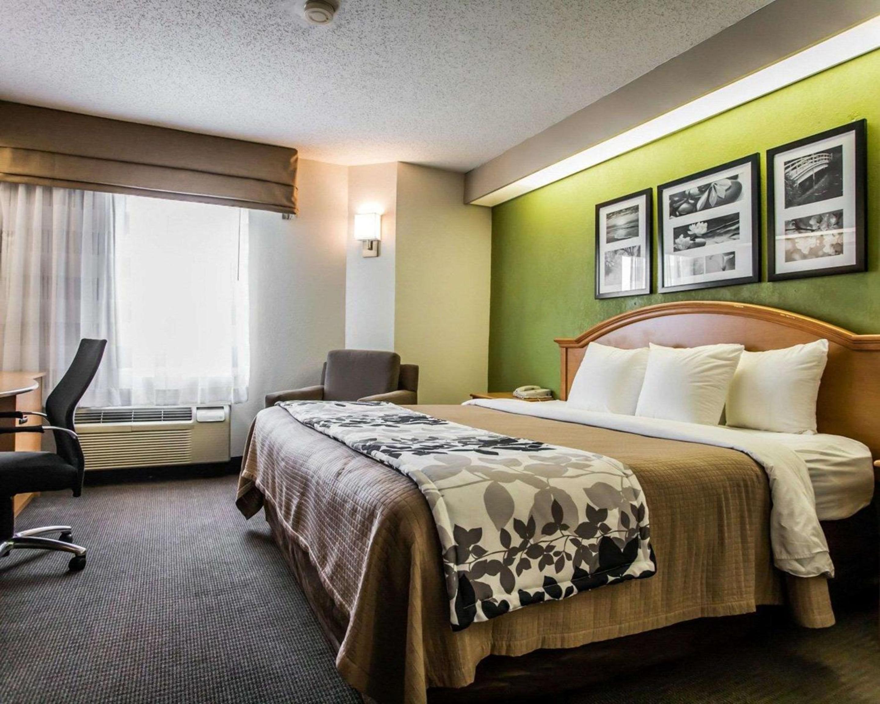King Room - Non-Smoking photo 3