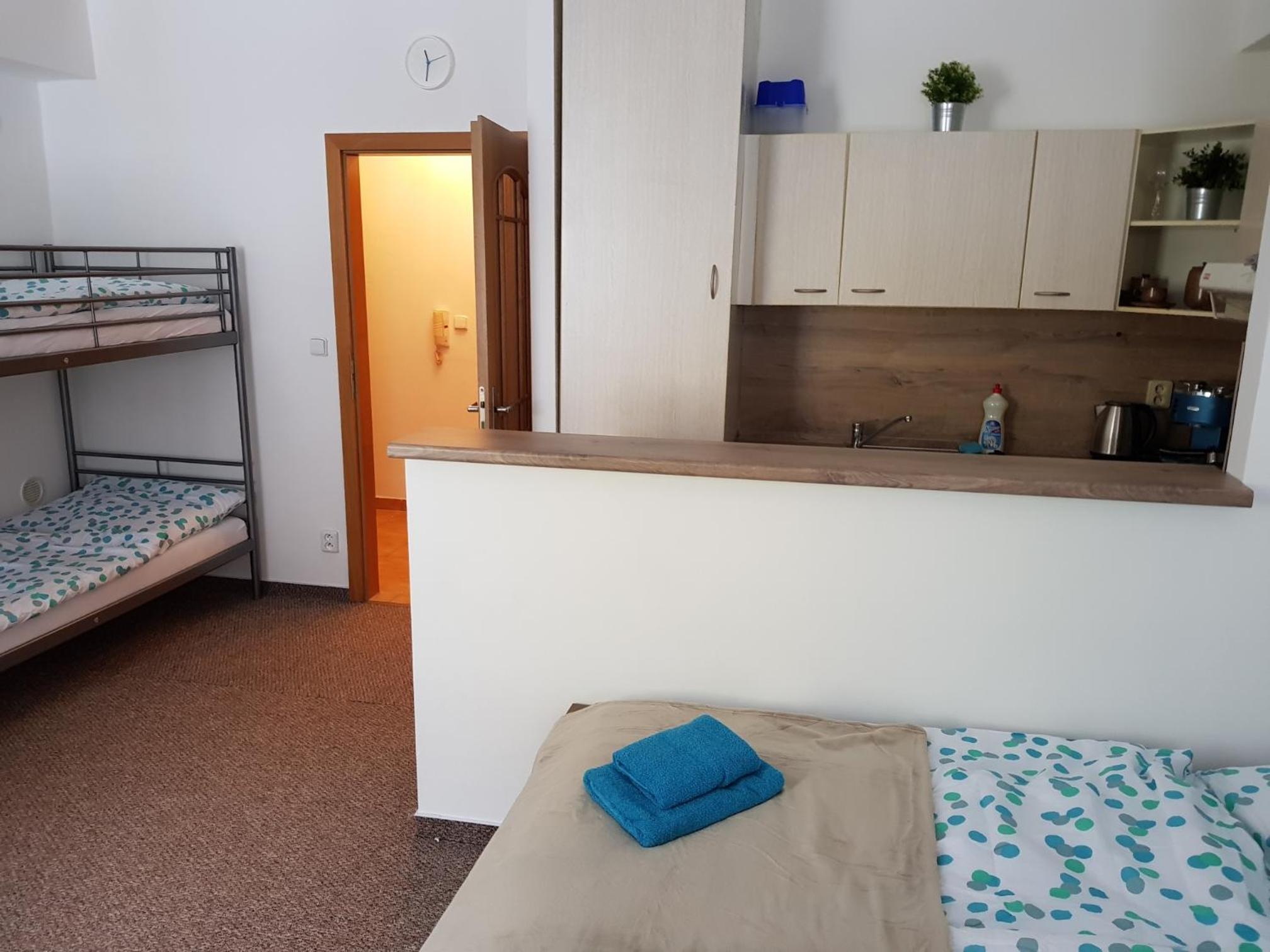 Studio Apartment photo 2