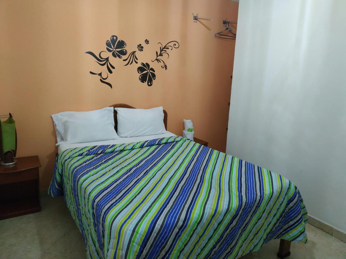 Large Single Room photo 2