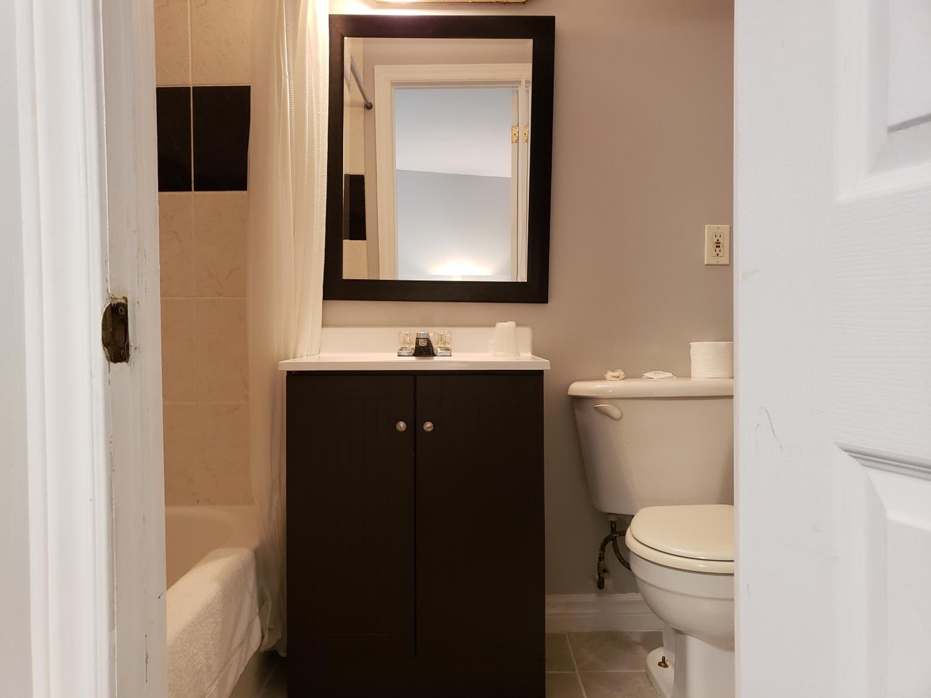 King Suite with Spa Bath - Photo 3