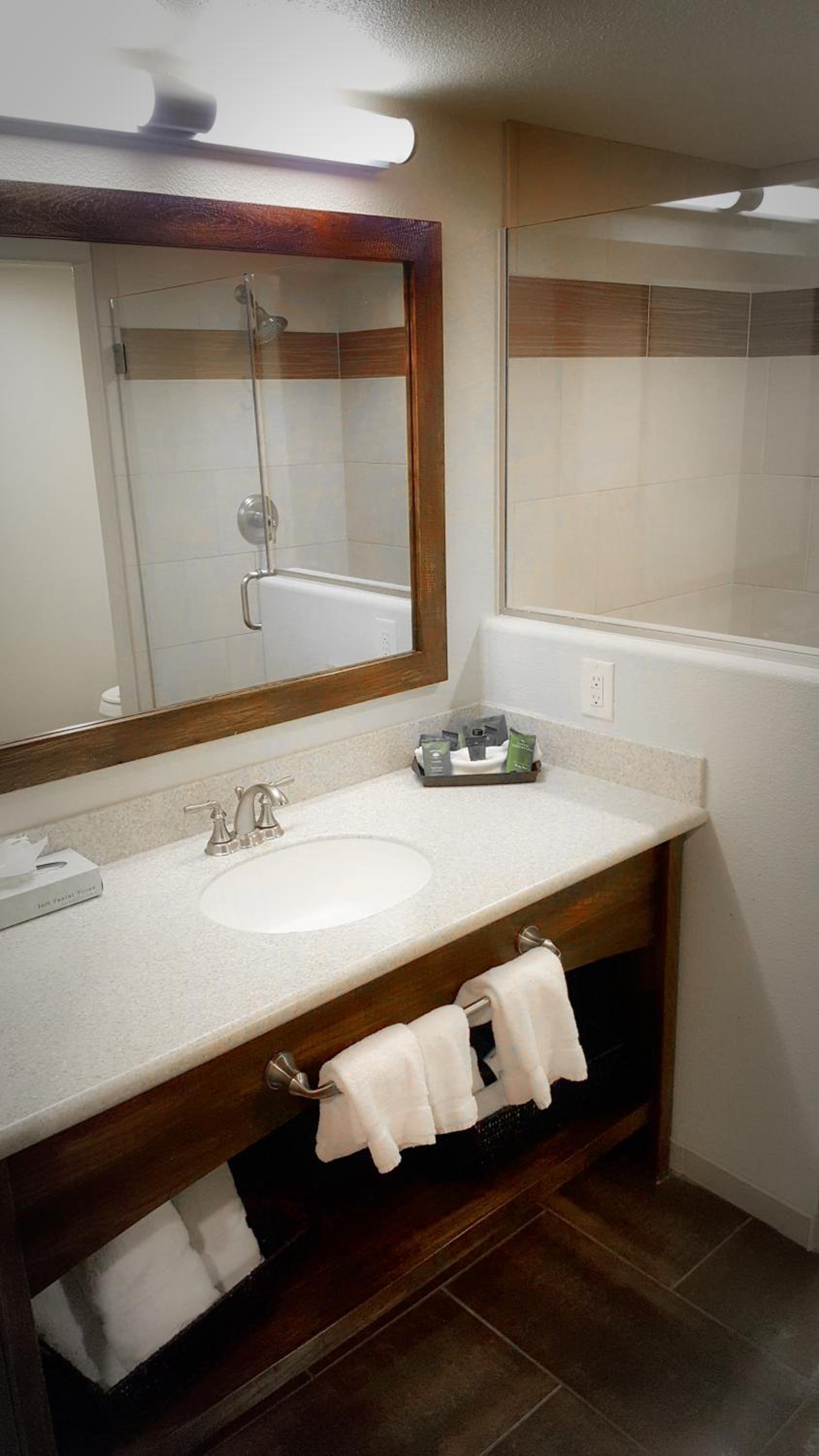 Deluxe Suite - Photo 2