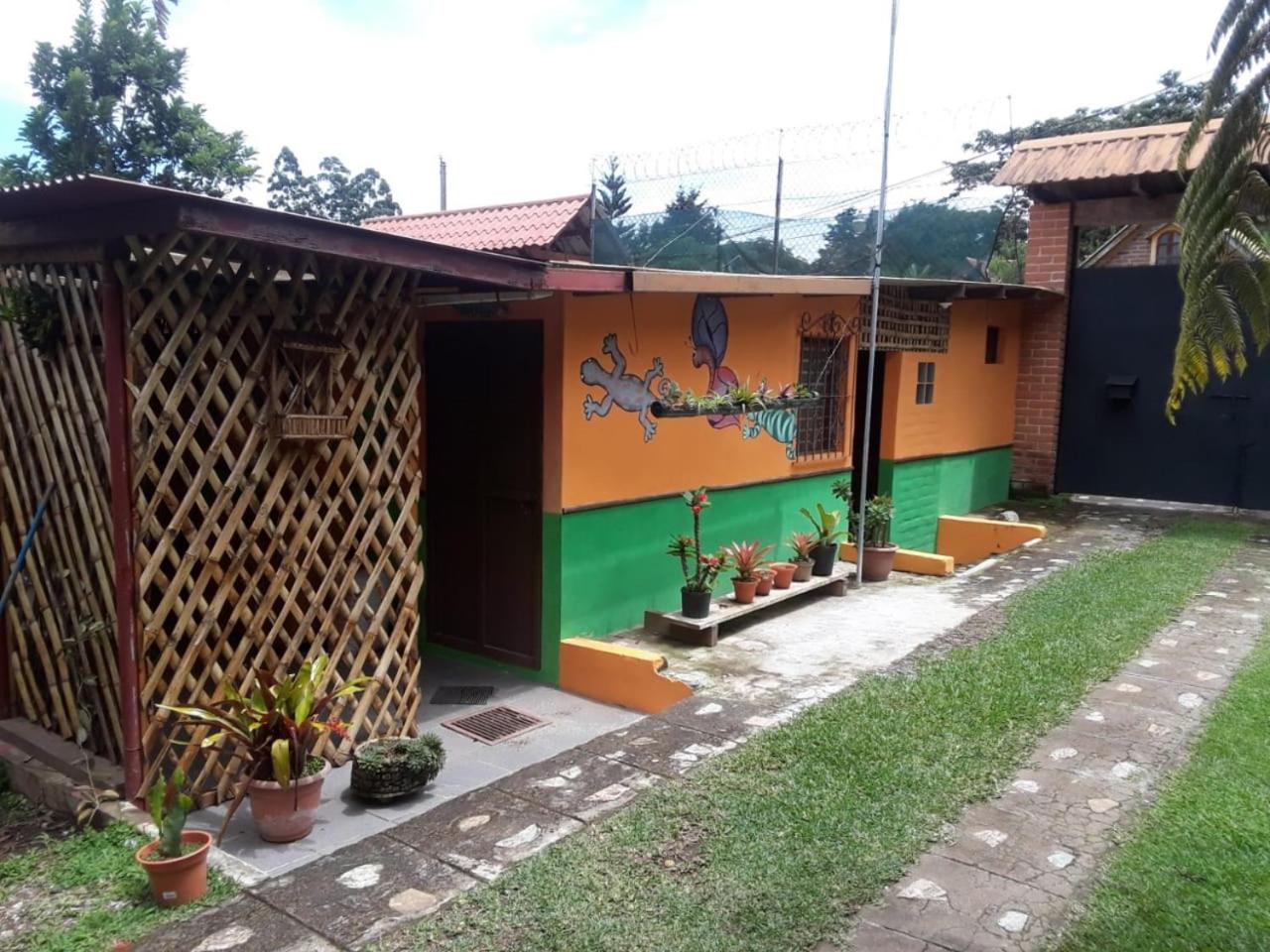 Double or Twin Room photo 2