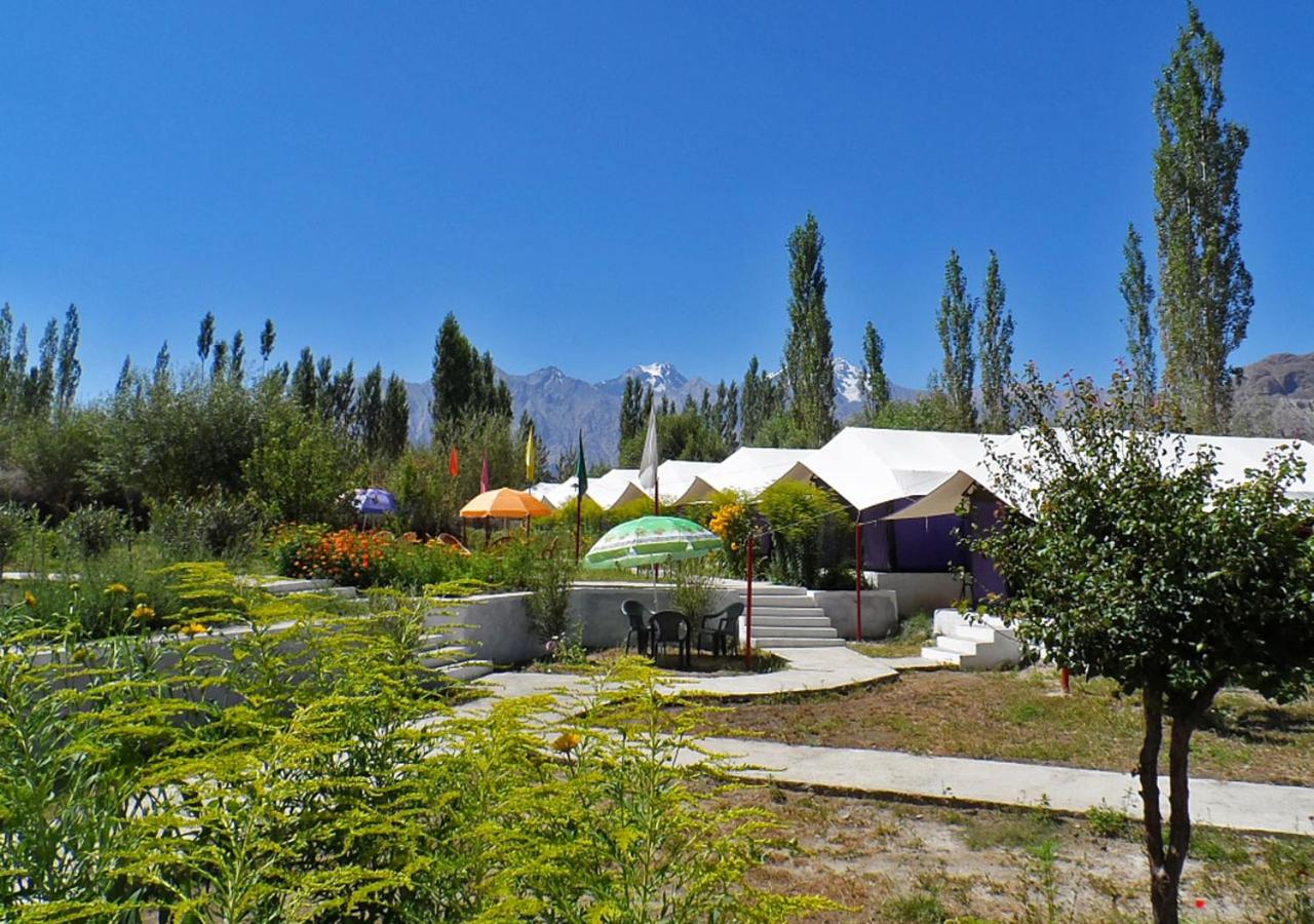 Tent photo 2