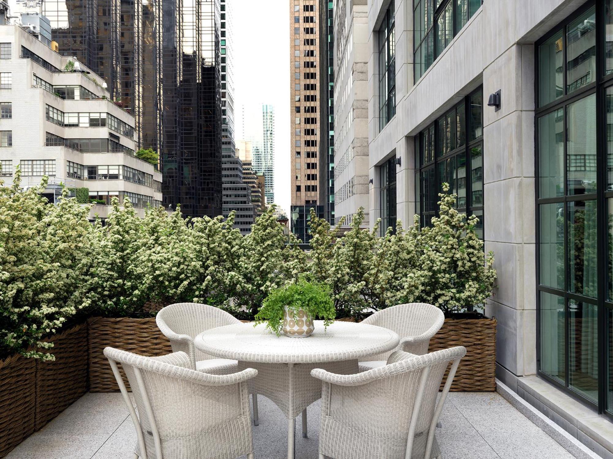 One Bedroom Terrace Suite