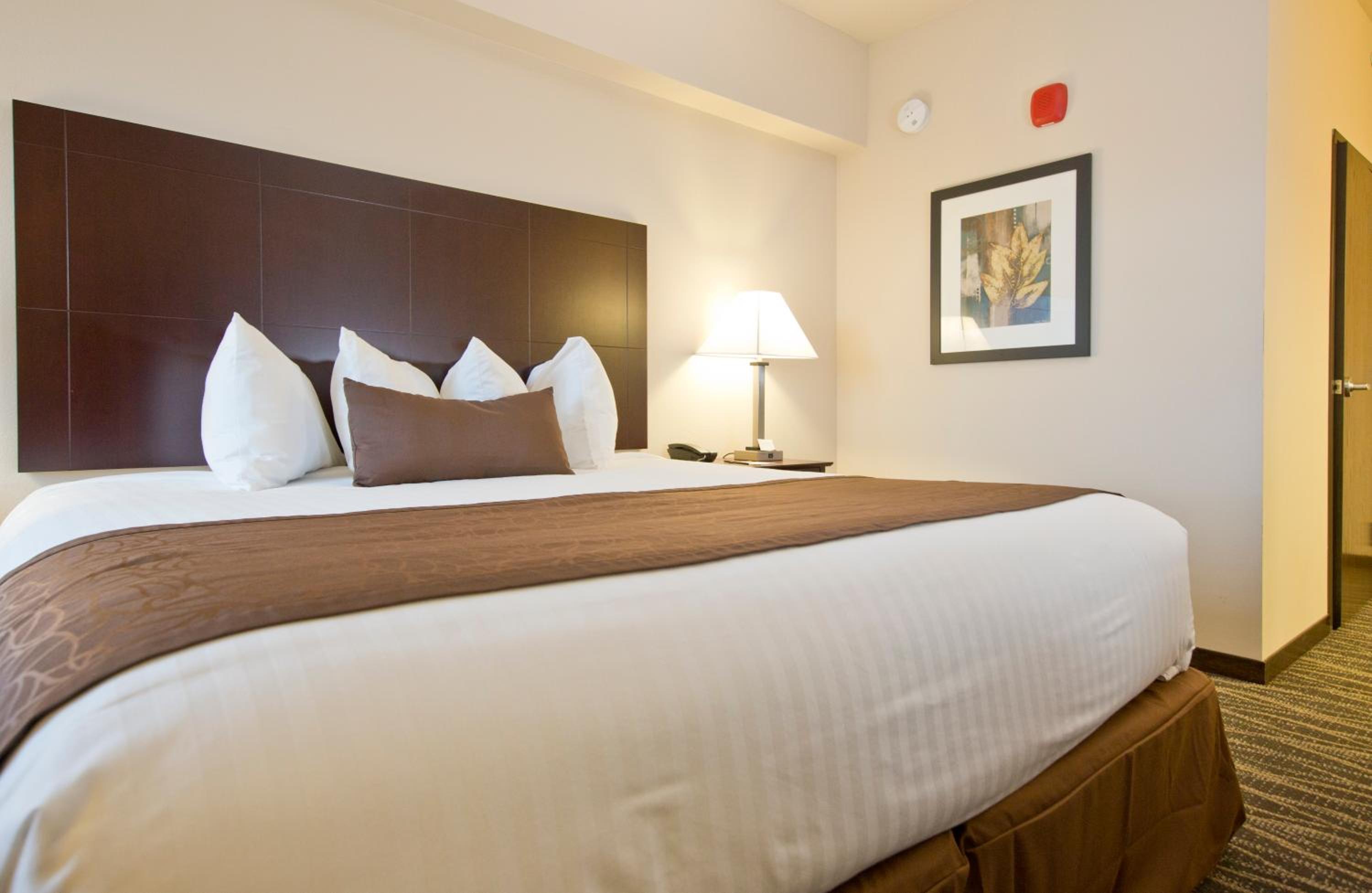 ADA King Room with Shower