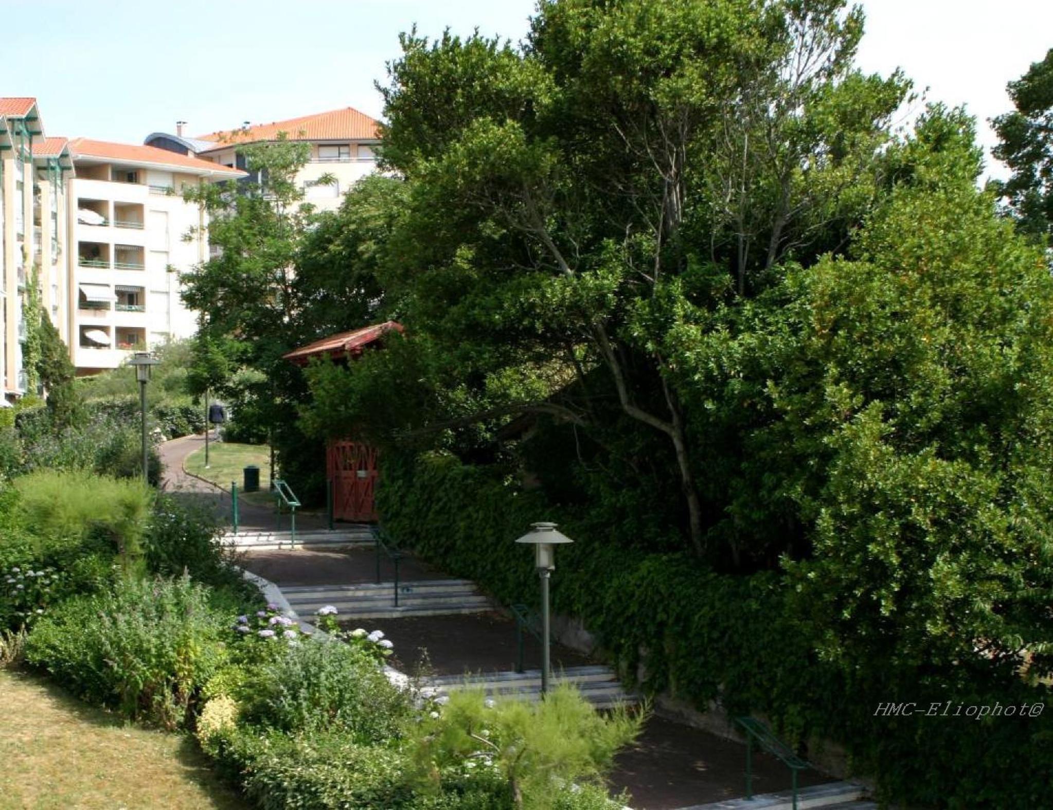 Garden Side Apartment photo 2
