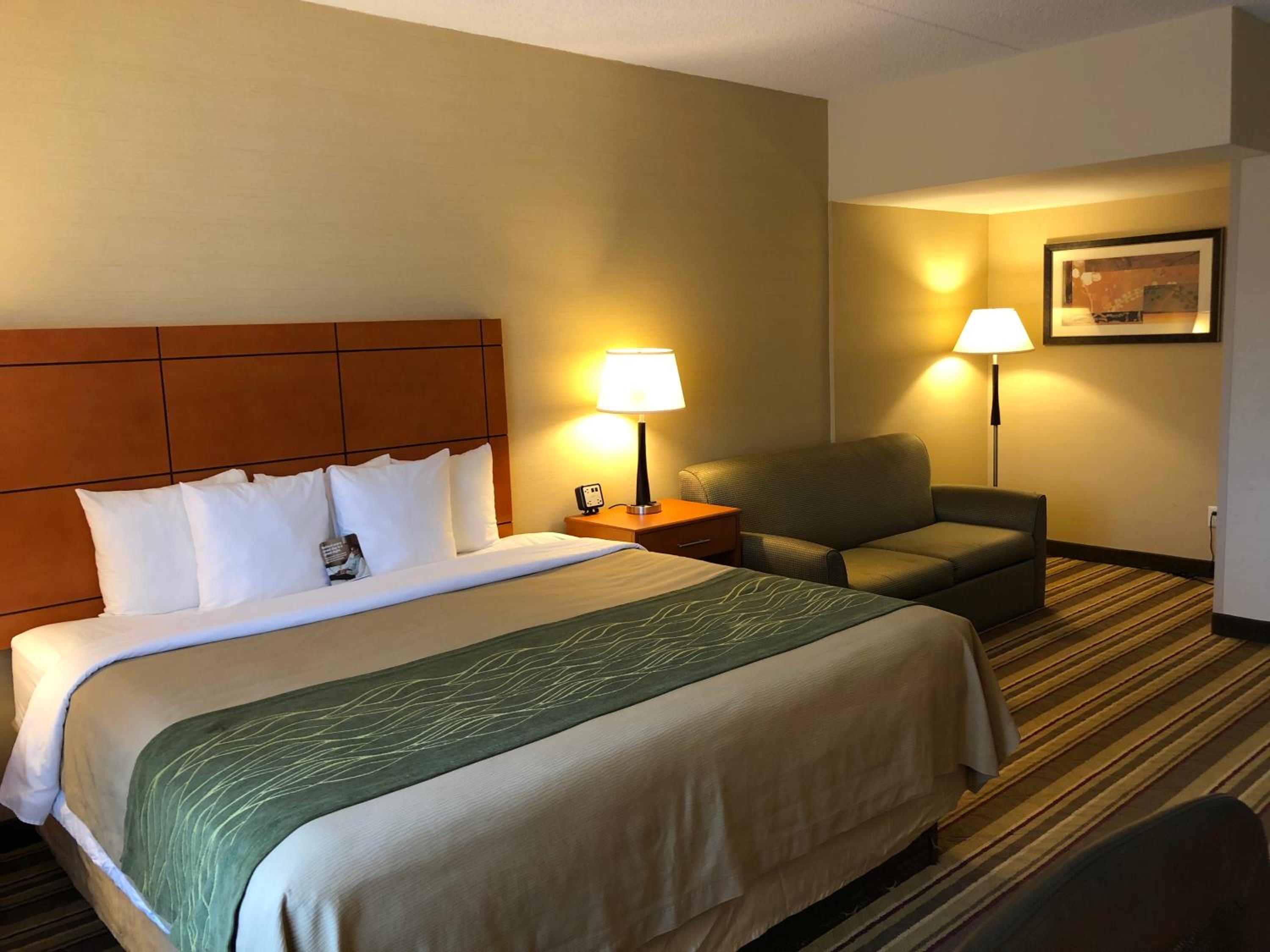 Deluxe King Room with Sofa Bed - Non-Smoking - Photo 1