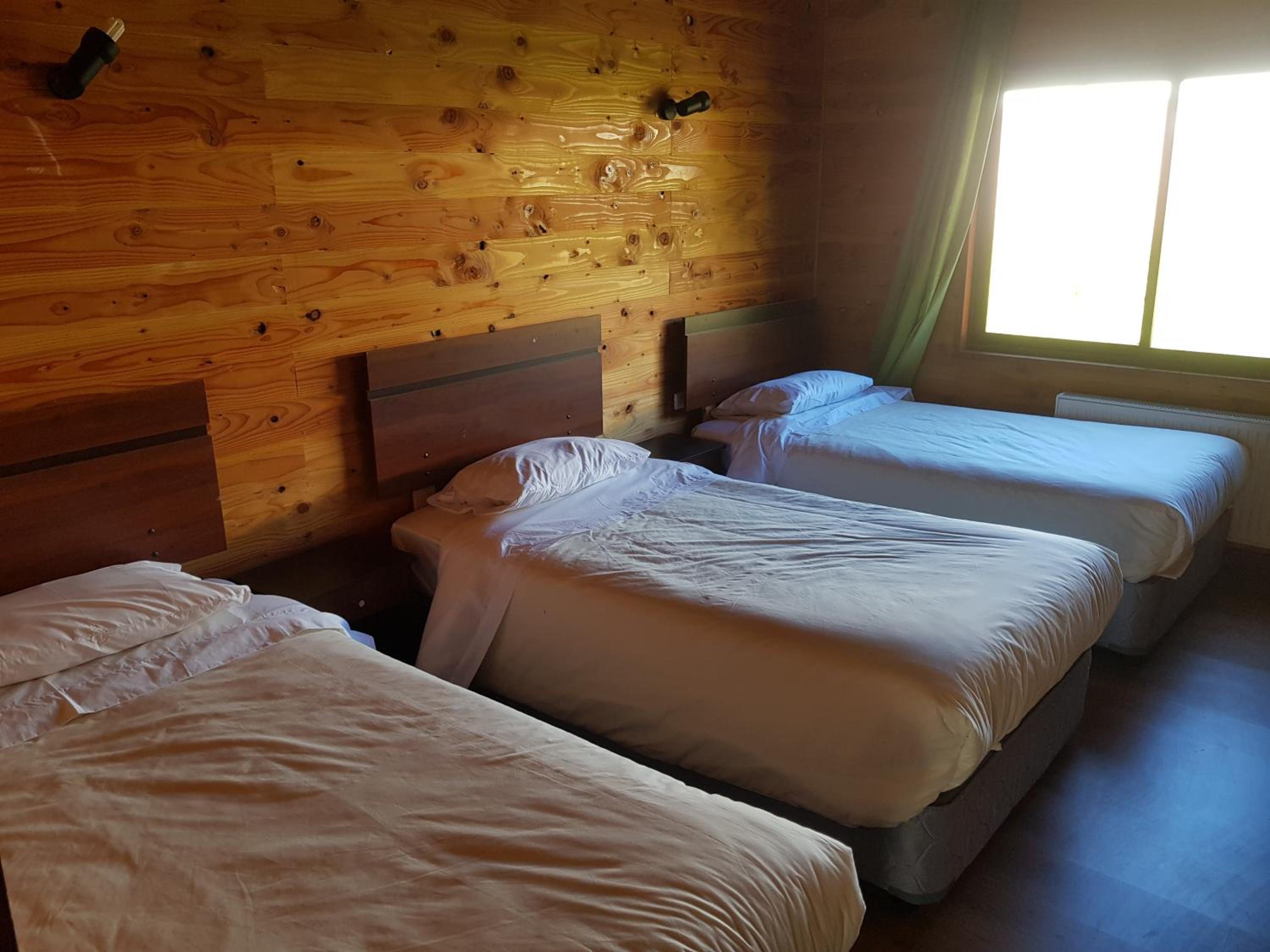 Deluxe King Suite photo 3