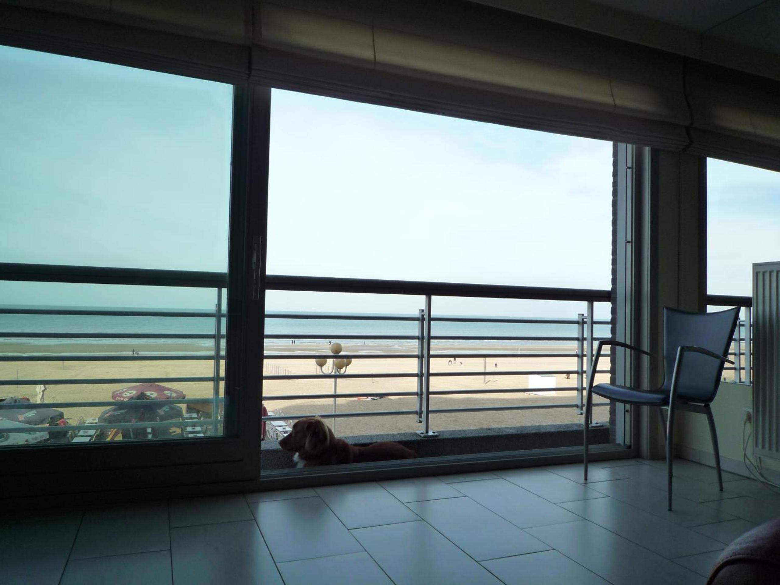 Apartment with Sea View - Photo 23