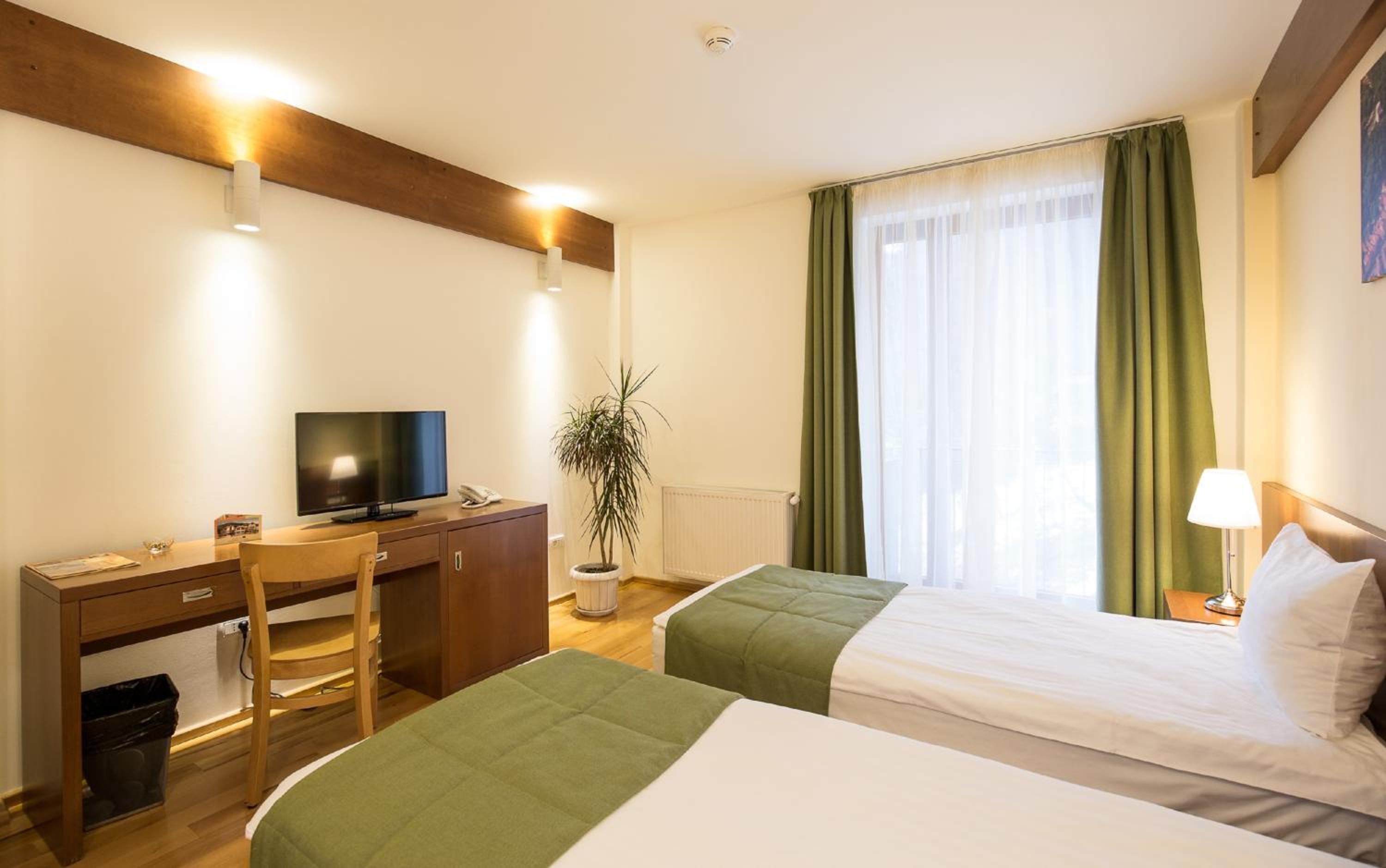 Standard Twin Room photo 1