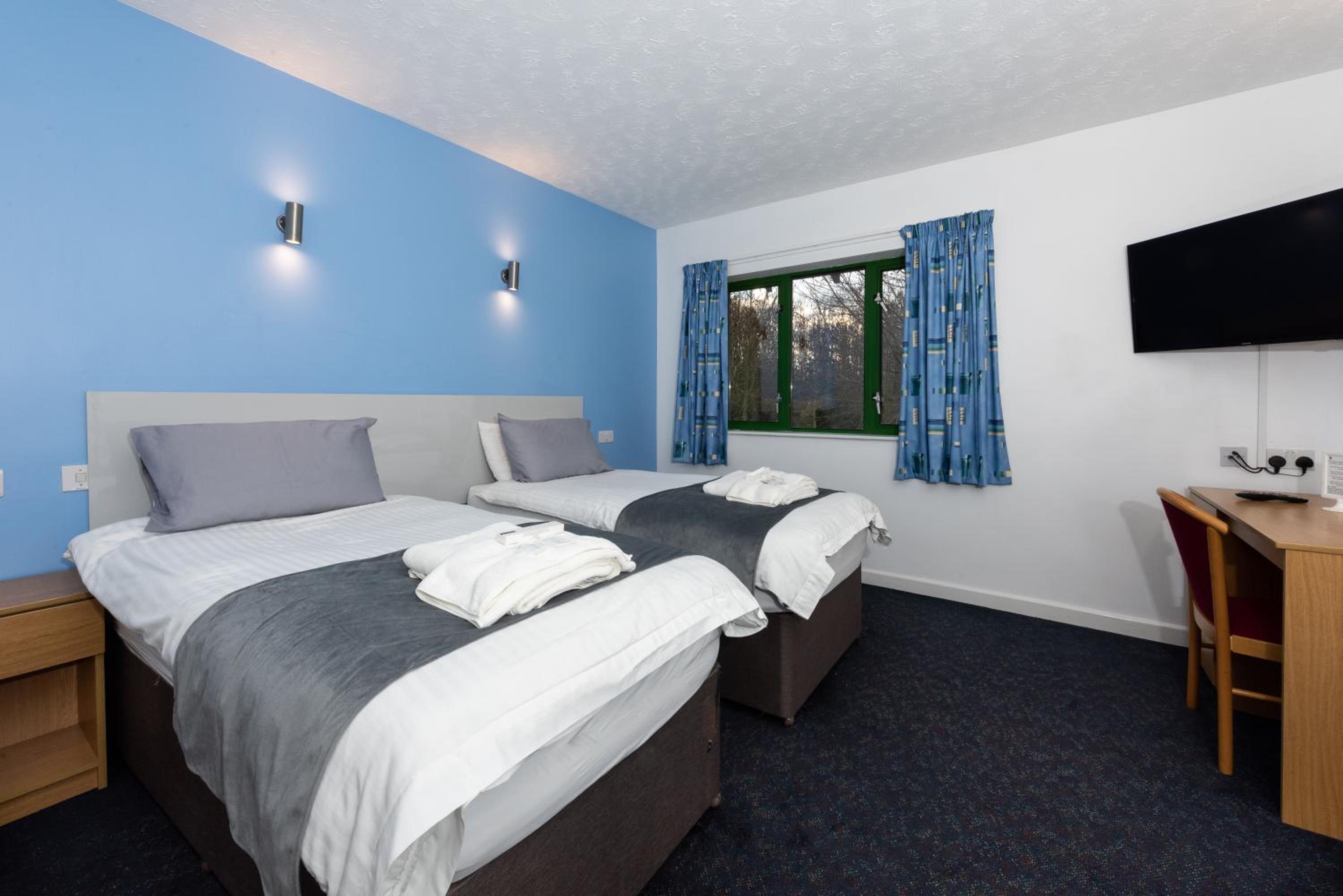 Standard Twin Room photo 1