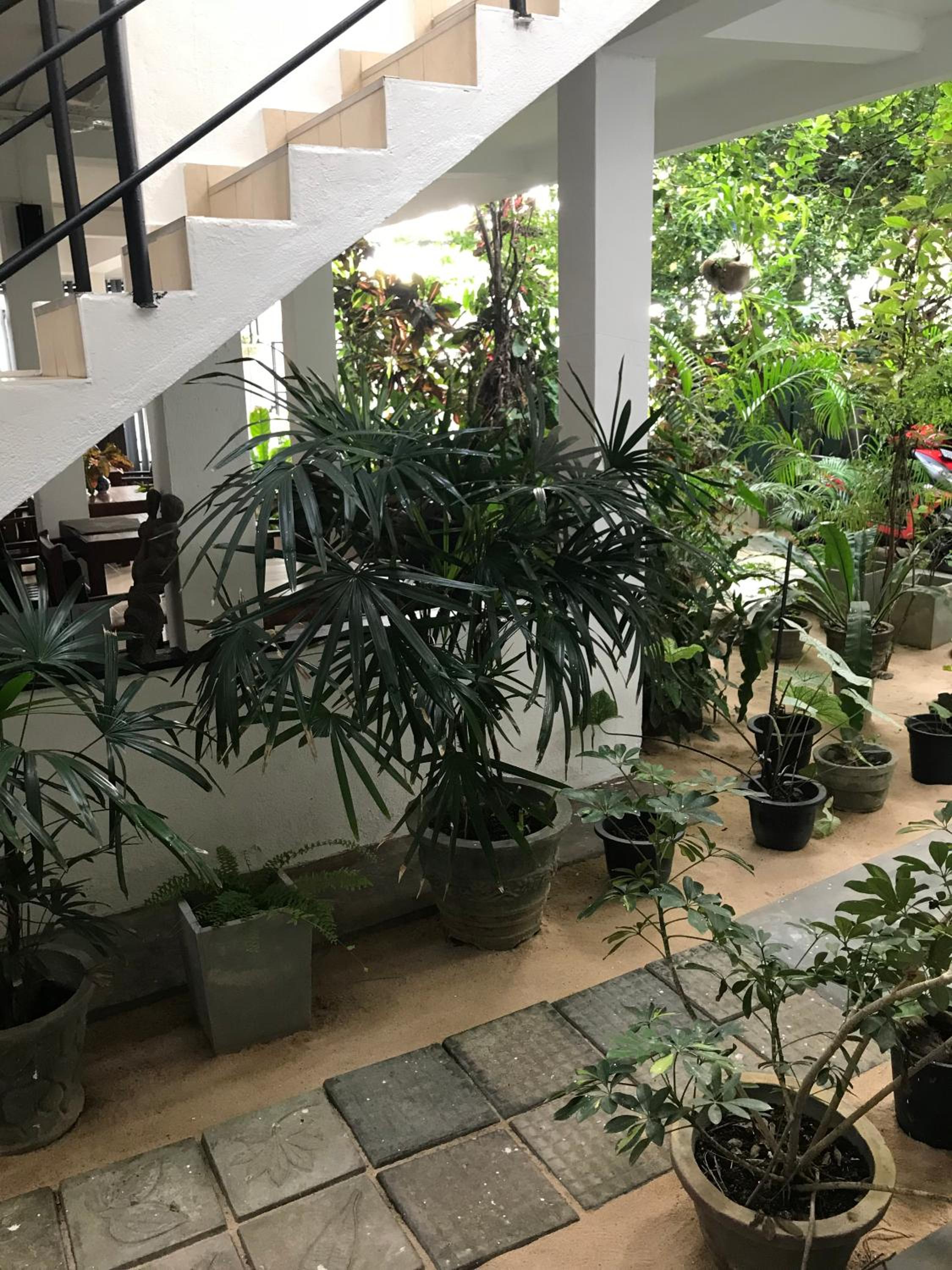 Double or Twin Room with Garden View photo 2
