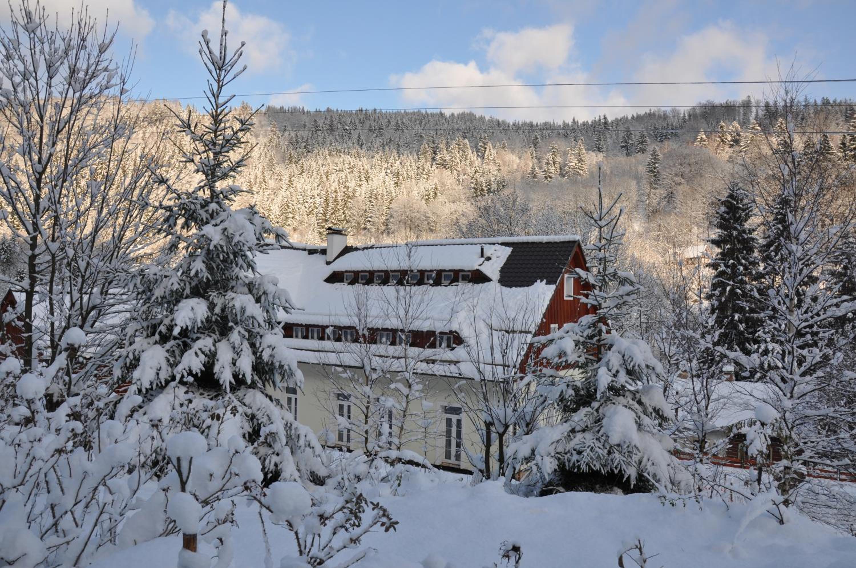 Apartment with Forest View and Terrace - Photo 41