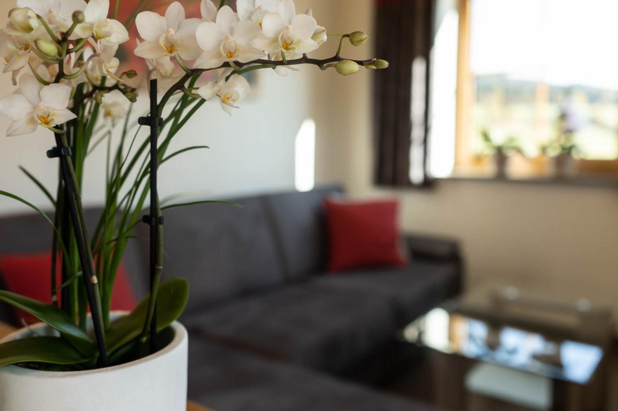 Apartment - Ground Floor photo 1