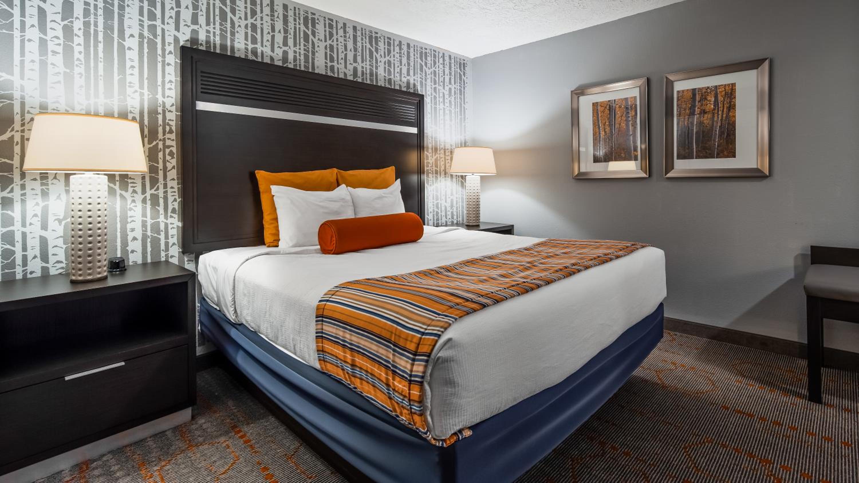 King Suite - Pet Friendly/Non-Smoking - Photo 1