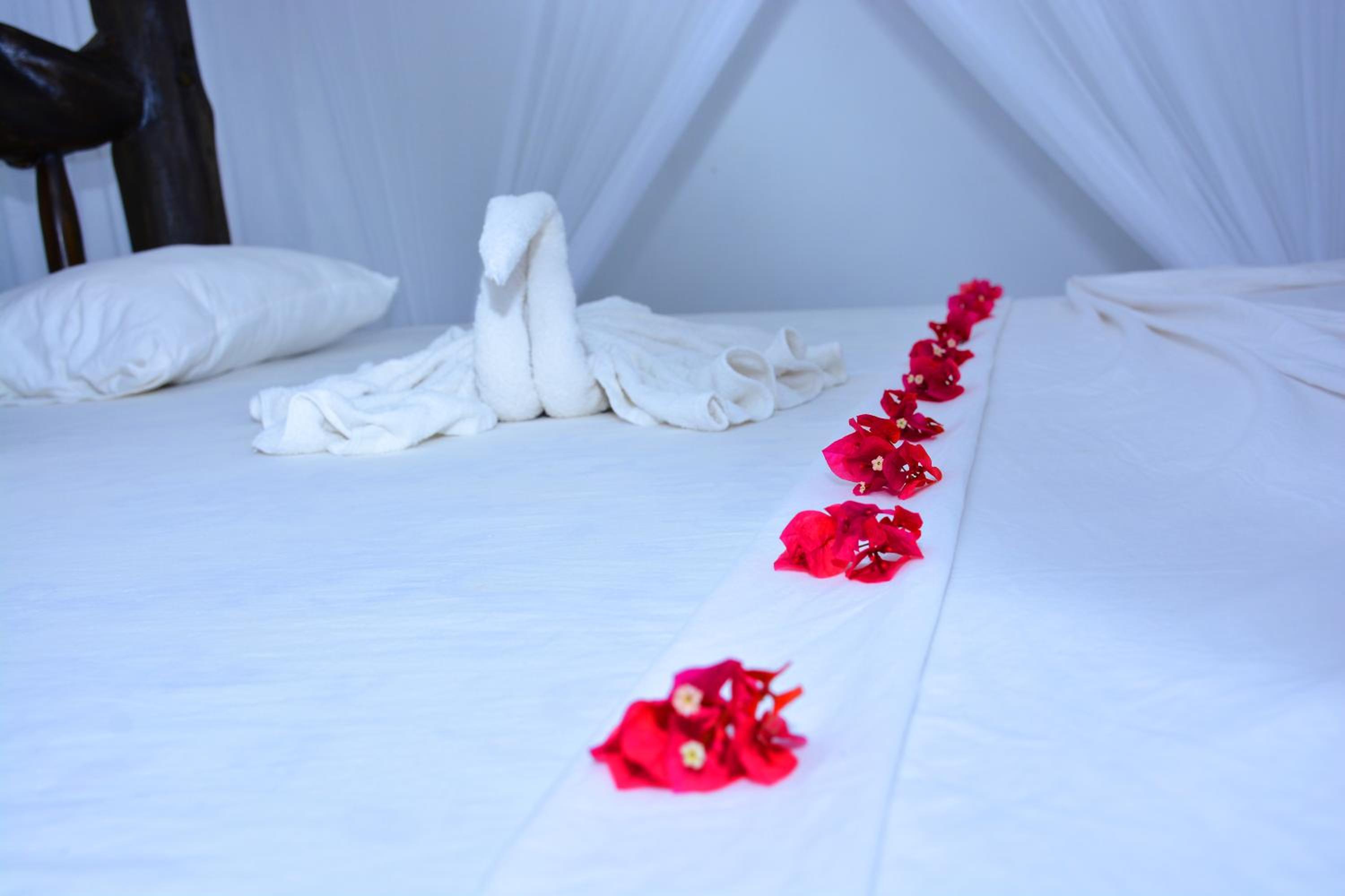 Deluxe Room photo 1