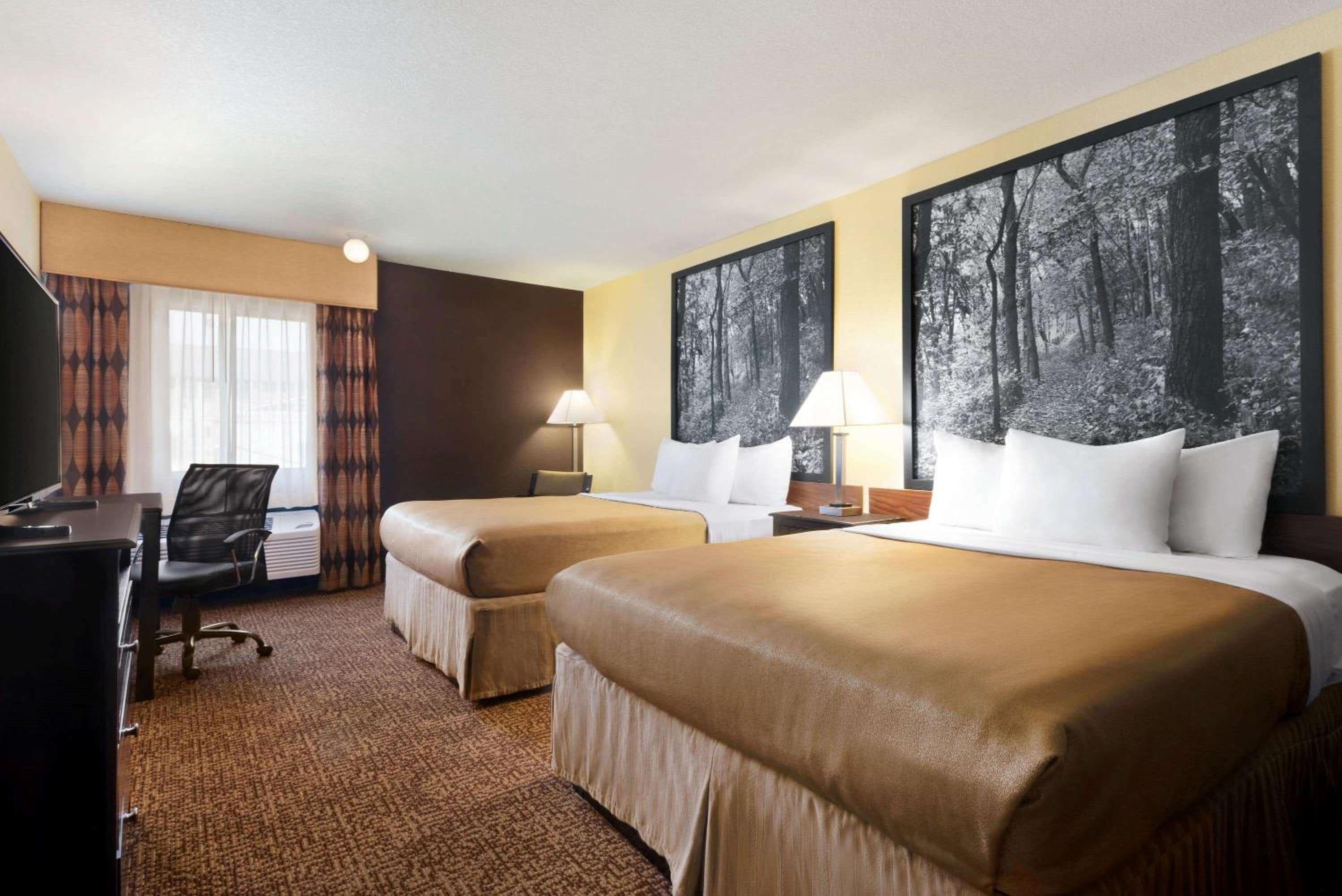 Deluxe Queen Room with Two Queen Beds - Non-Smoking - Photo 1