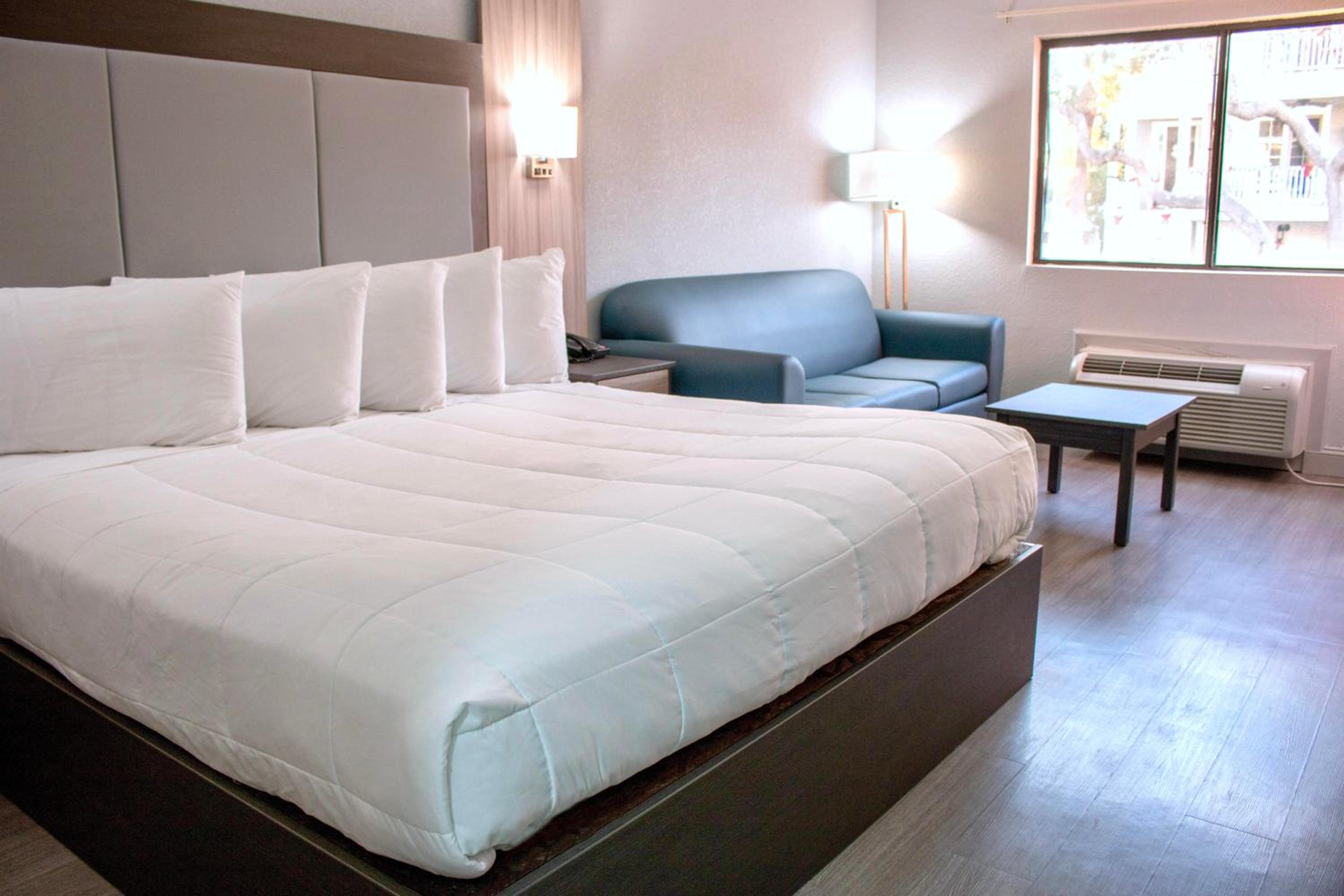 King Room photo 1