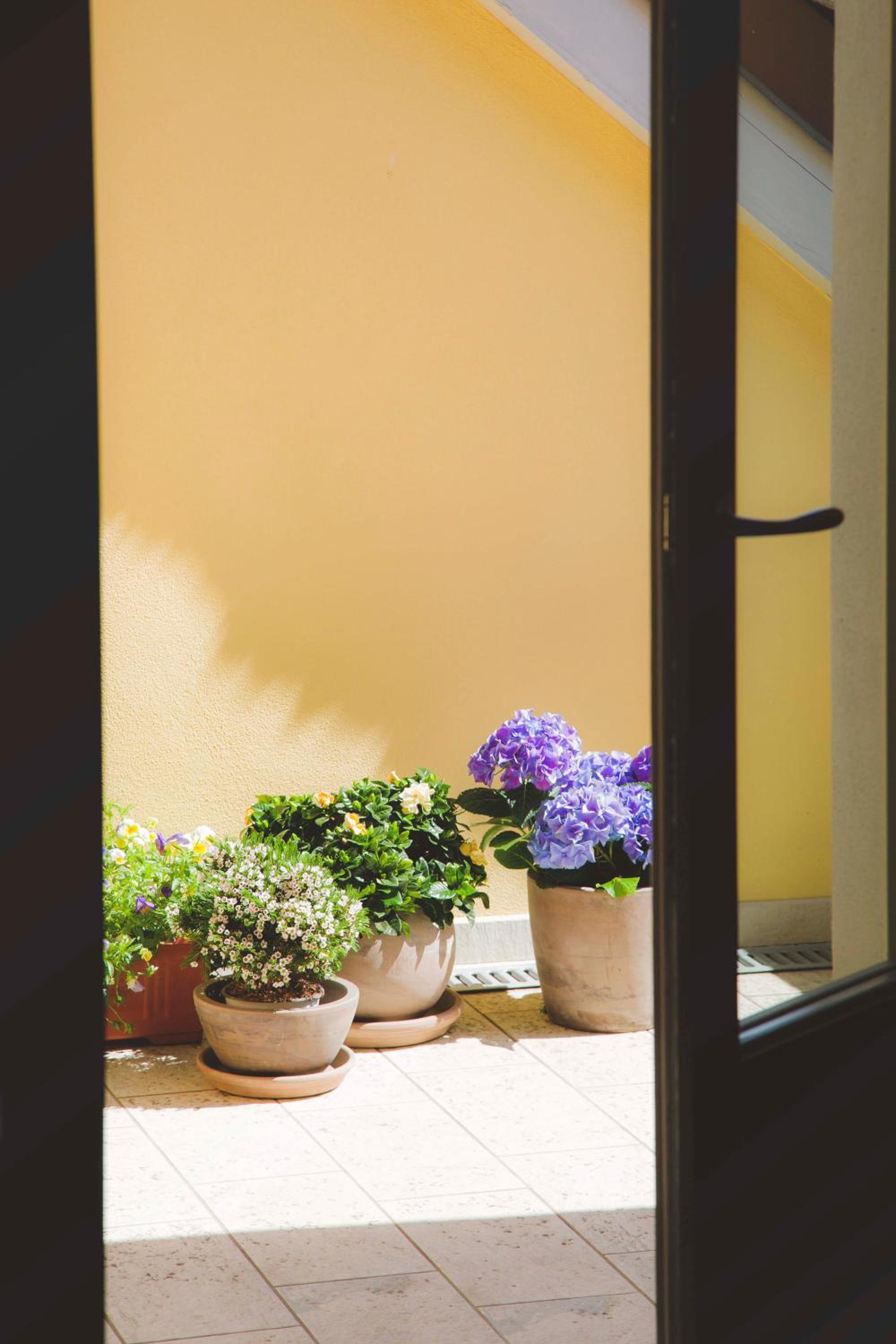 Apartment with Terrace - Photo 1