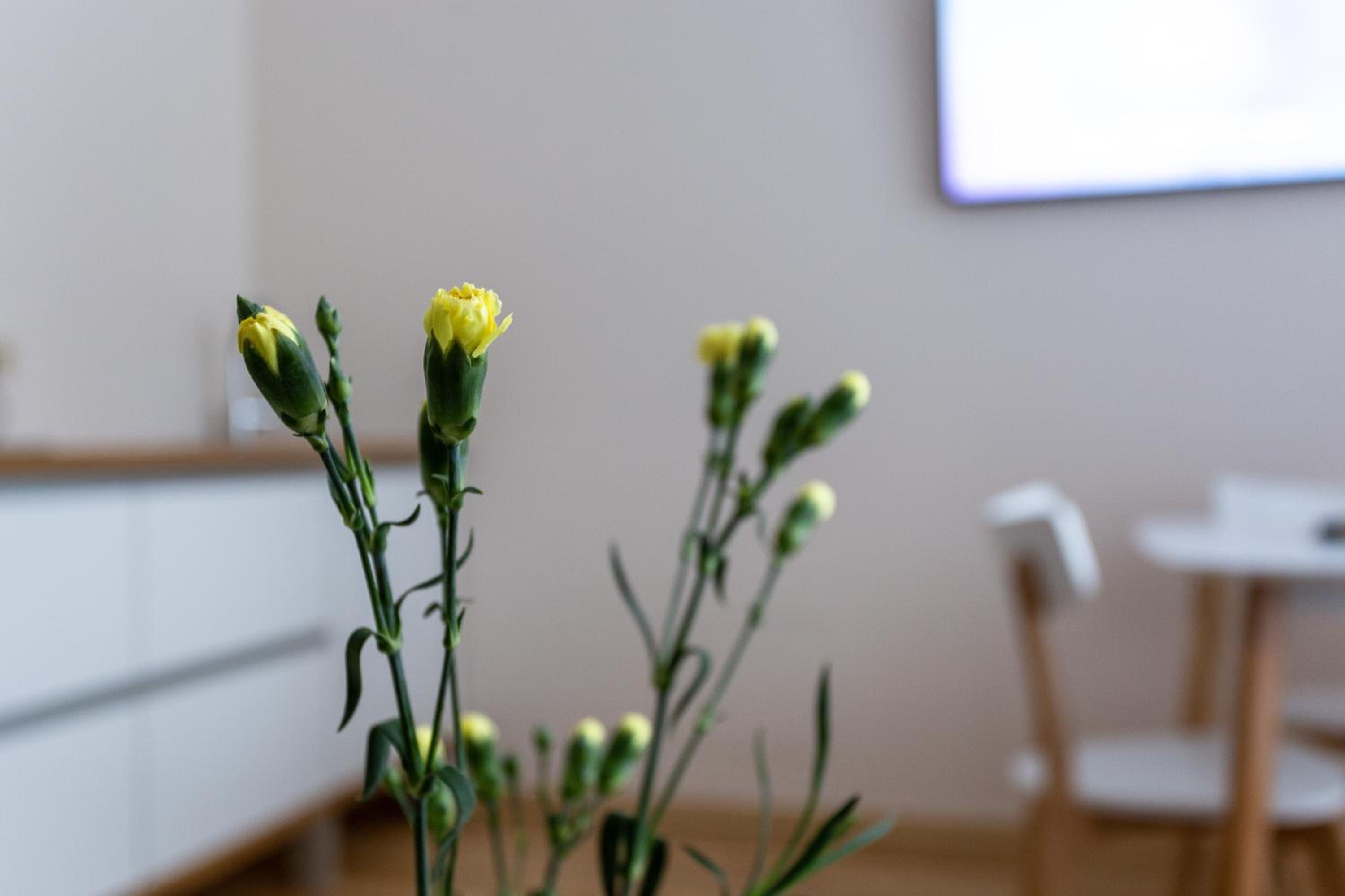 Two-Bedroom Apartment - Photo 4