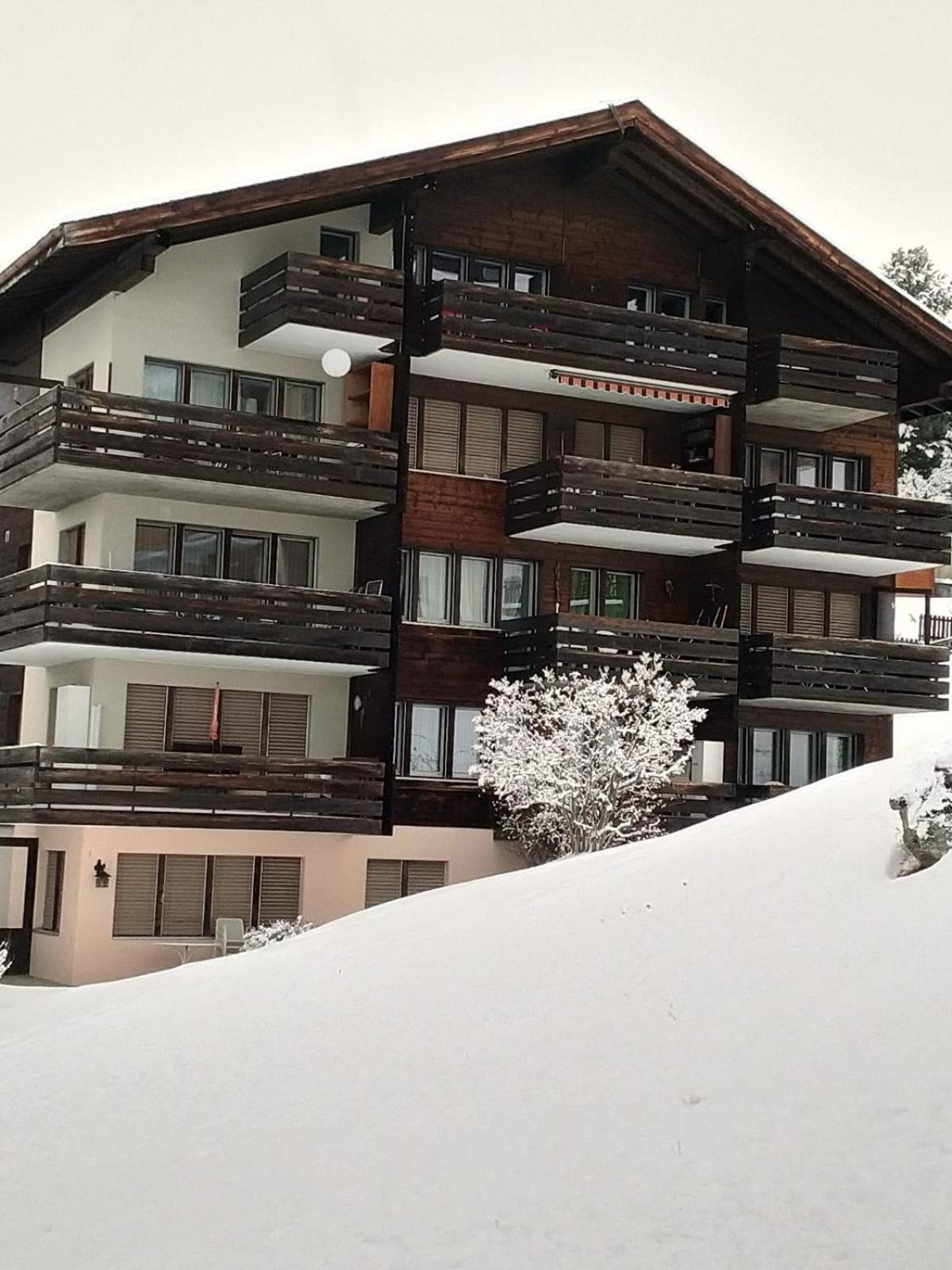 Apartment with Mountain View photo 1