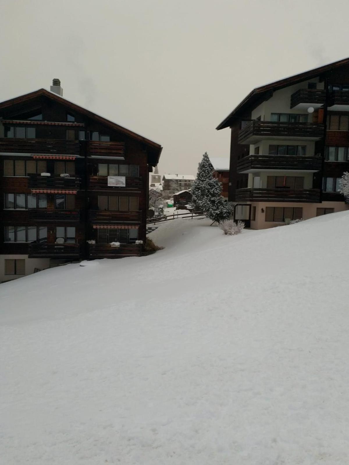 Apartment with Mountain View photo 3