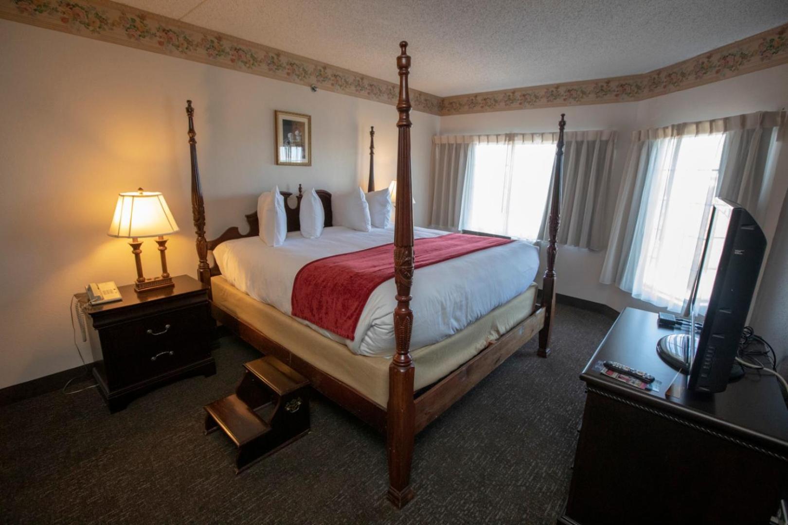 Deluxe King Suite photo 1