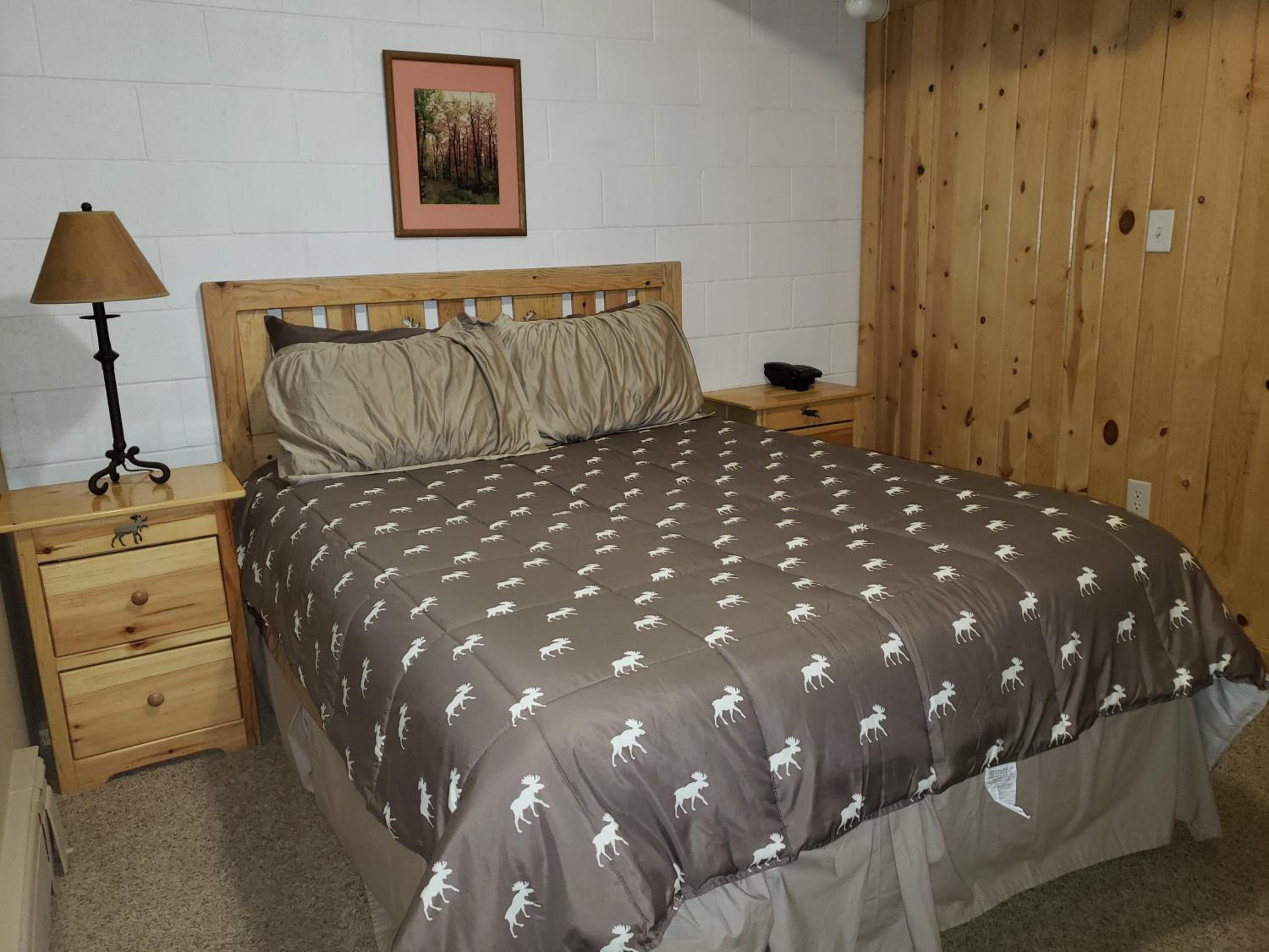 Deluxe King Suite photo 1