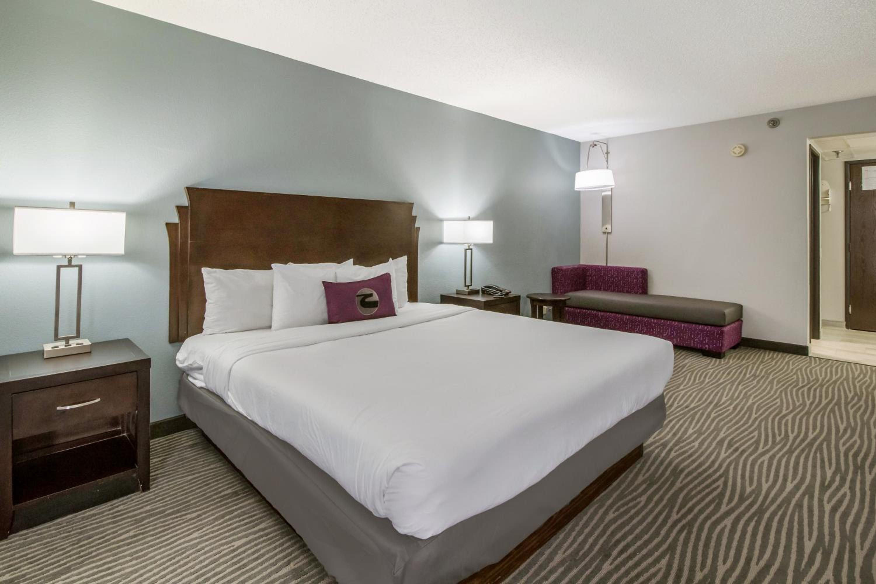 King Room - Non-Smoking - Photo 8