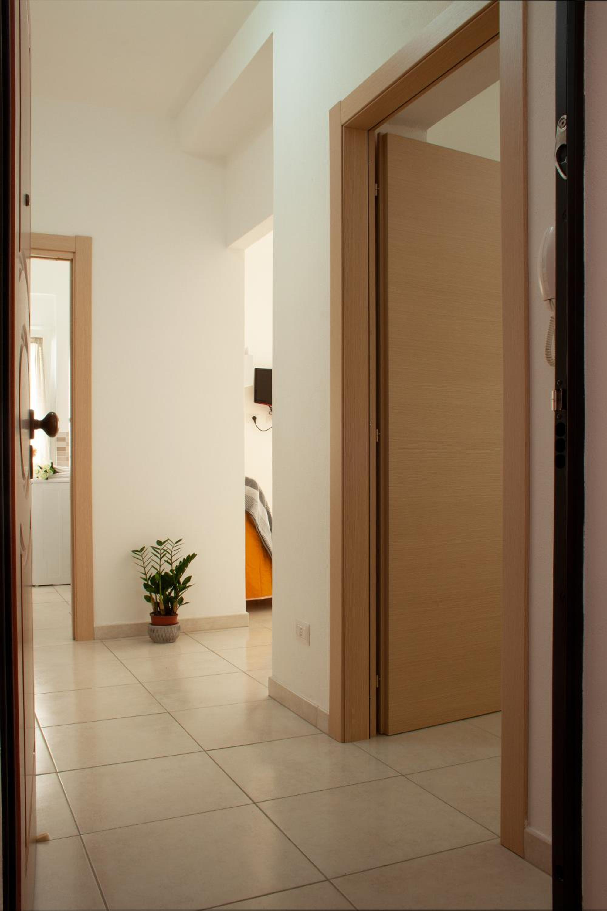 Standard Apartment photo 1