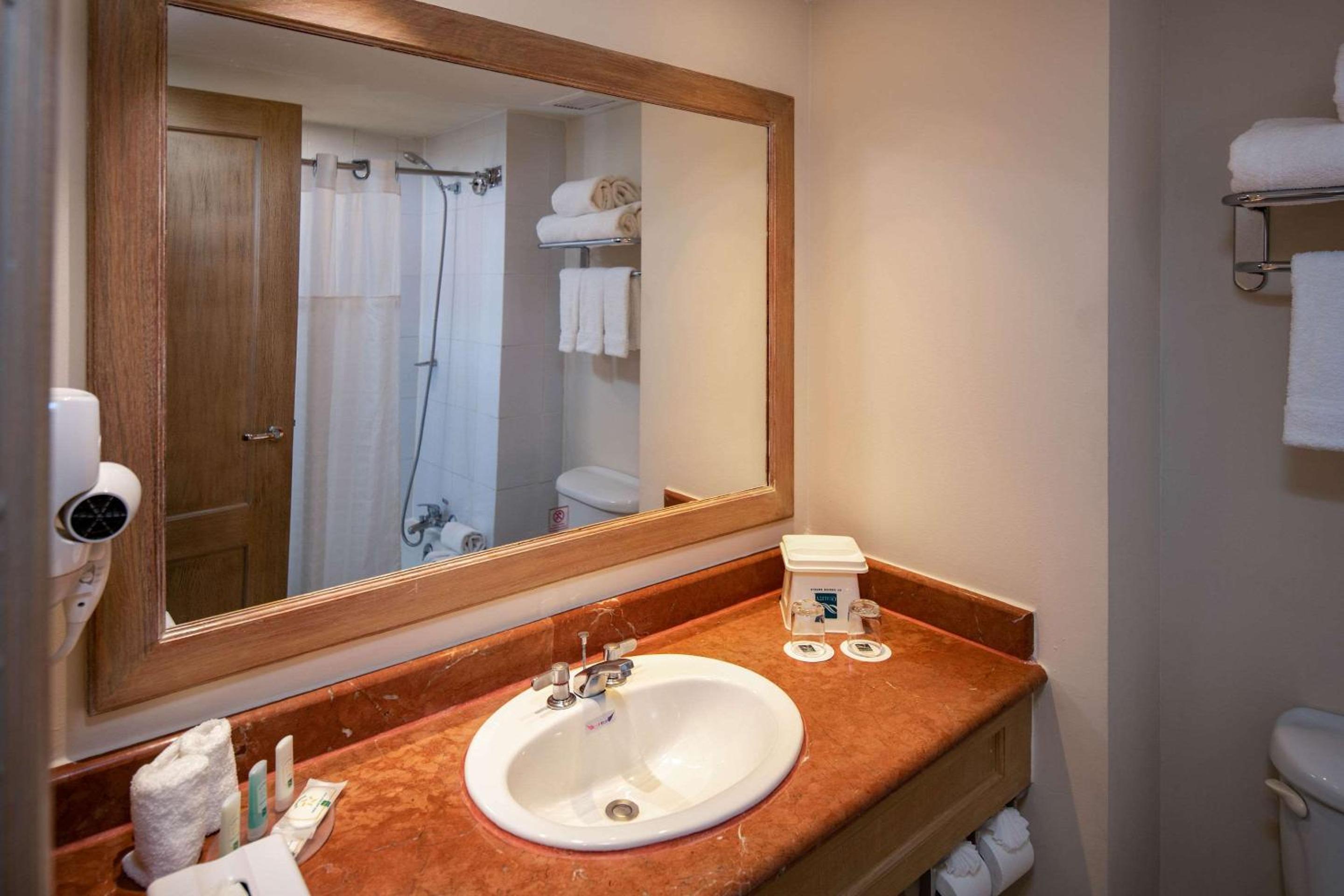 Standard King Room - Photo 10