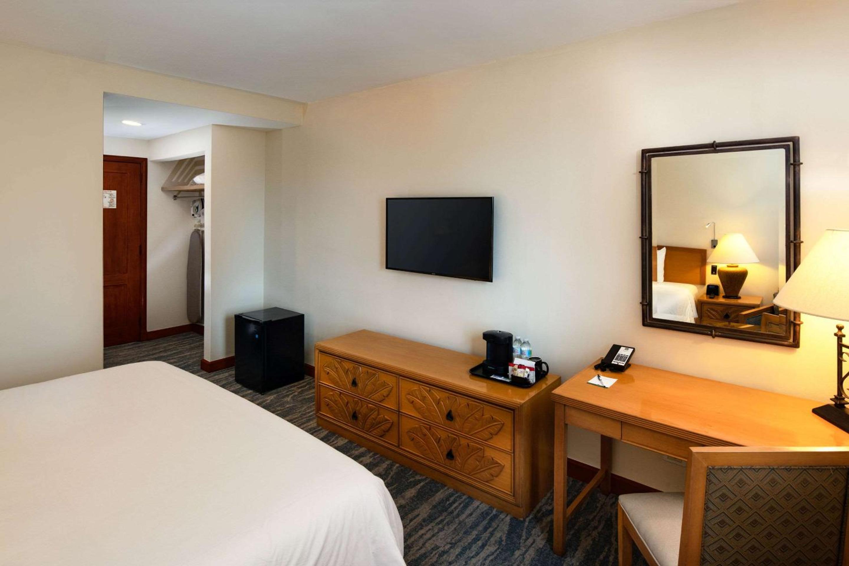 Standard King Room - Photo 11