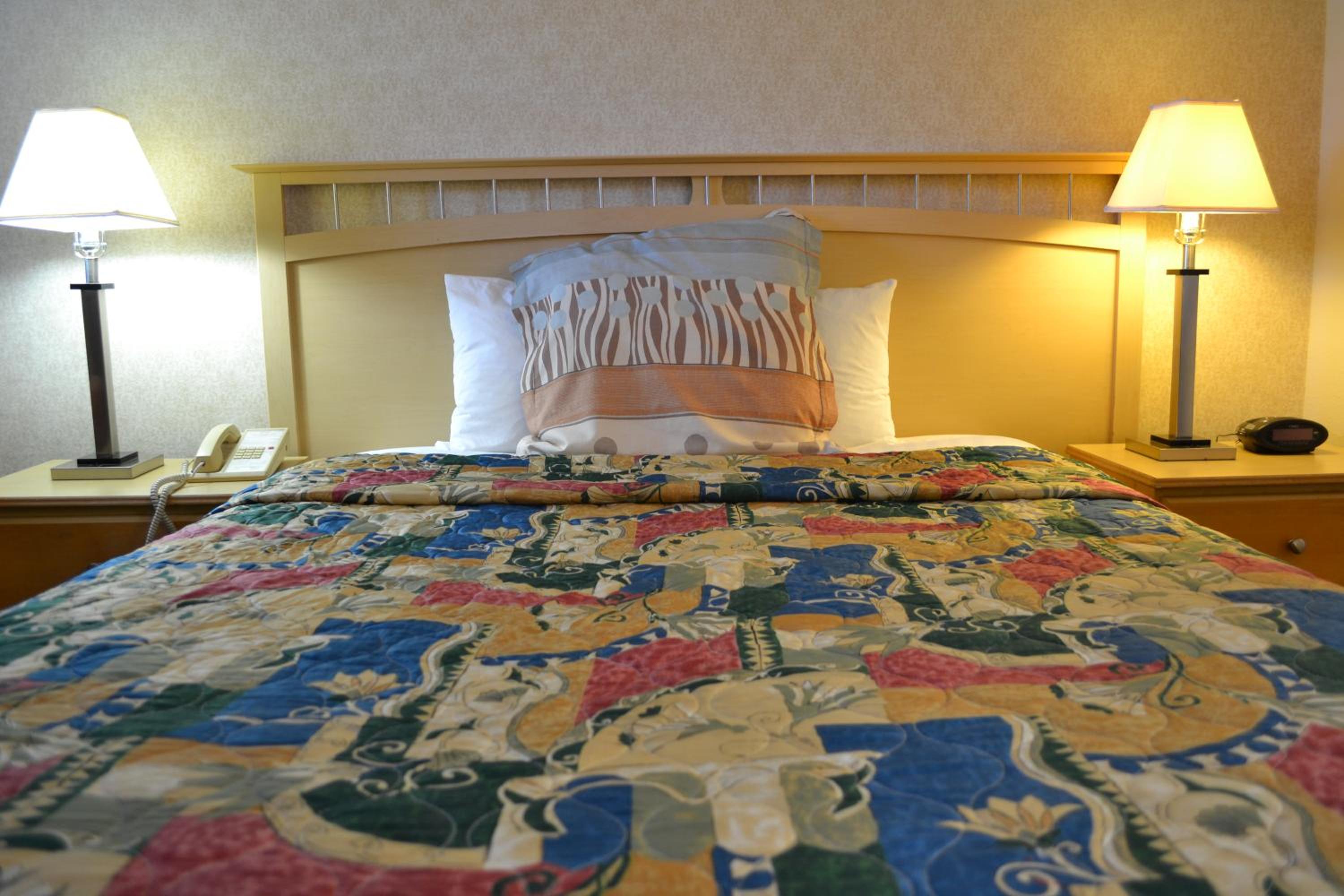 Single Room - Disability Access photo 3