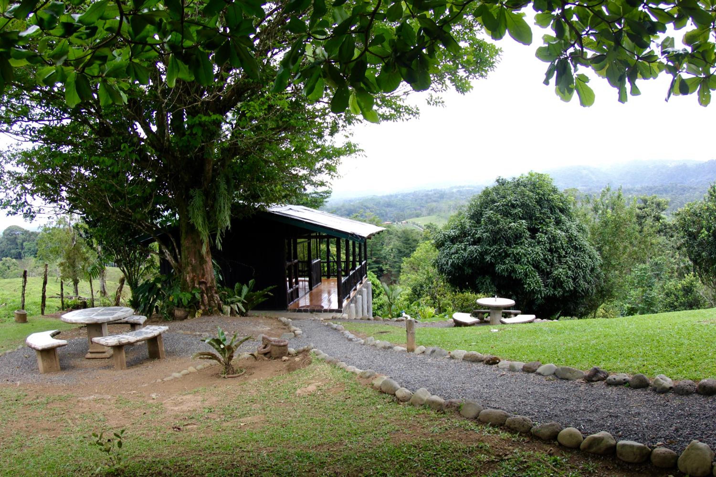 Double Room with Mountain View photo 2