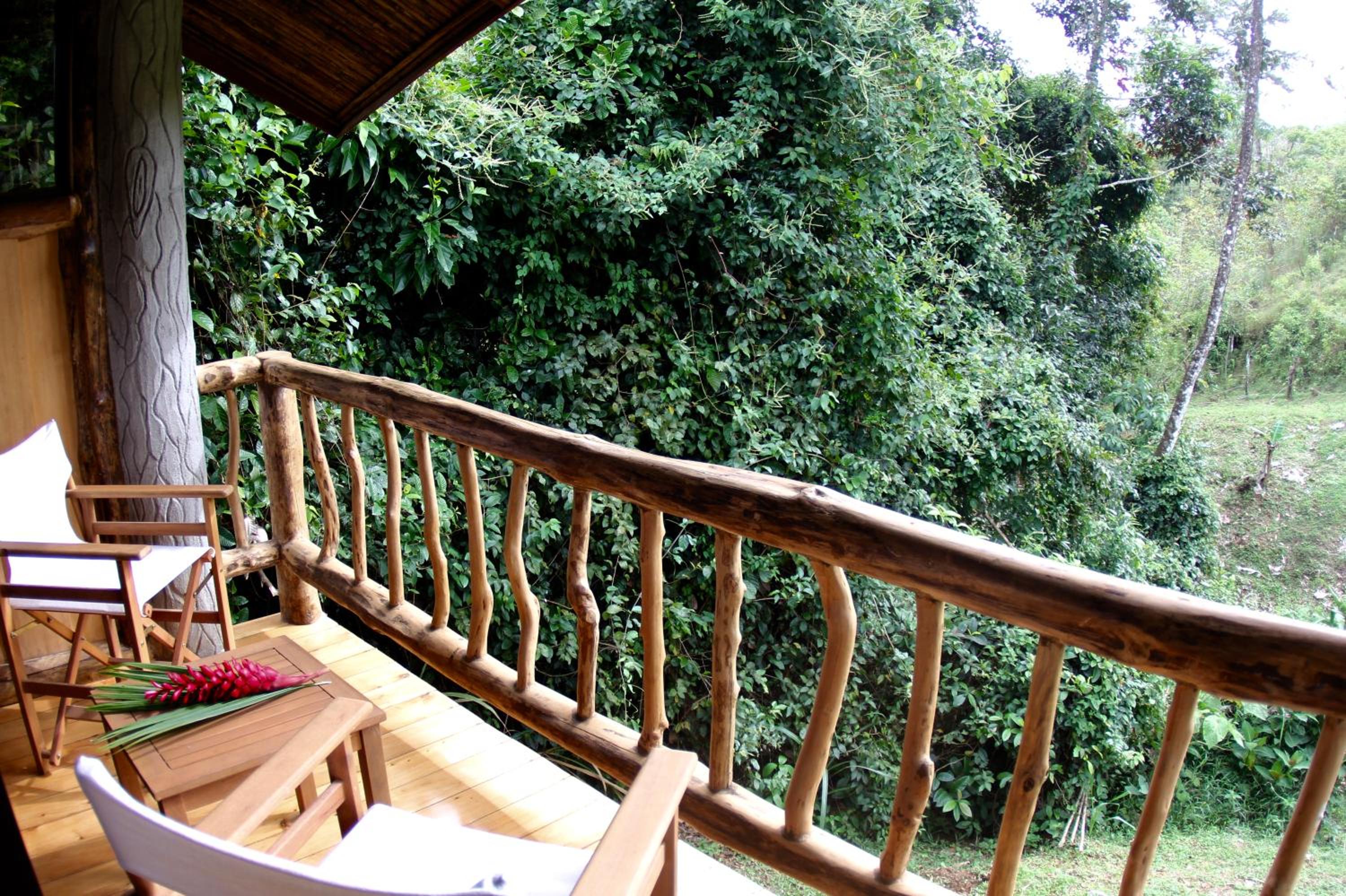 Double Room with Garden View photo 3