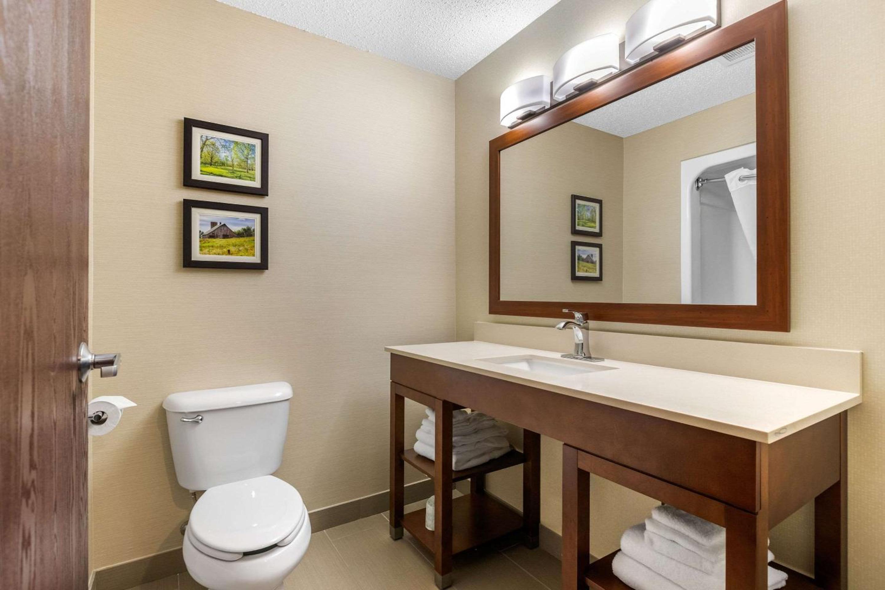 King Suite - Non-Smoking - Photo 4