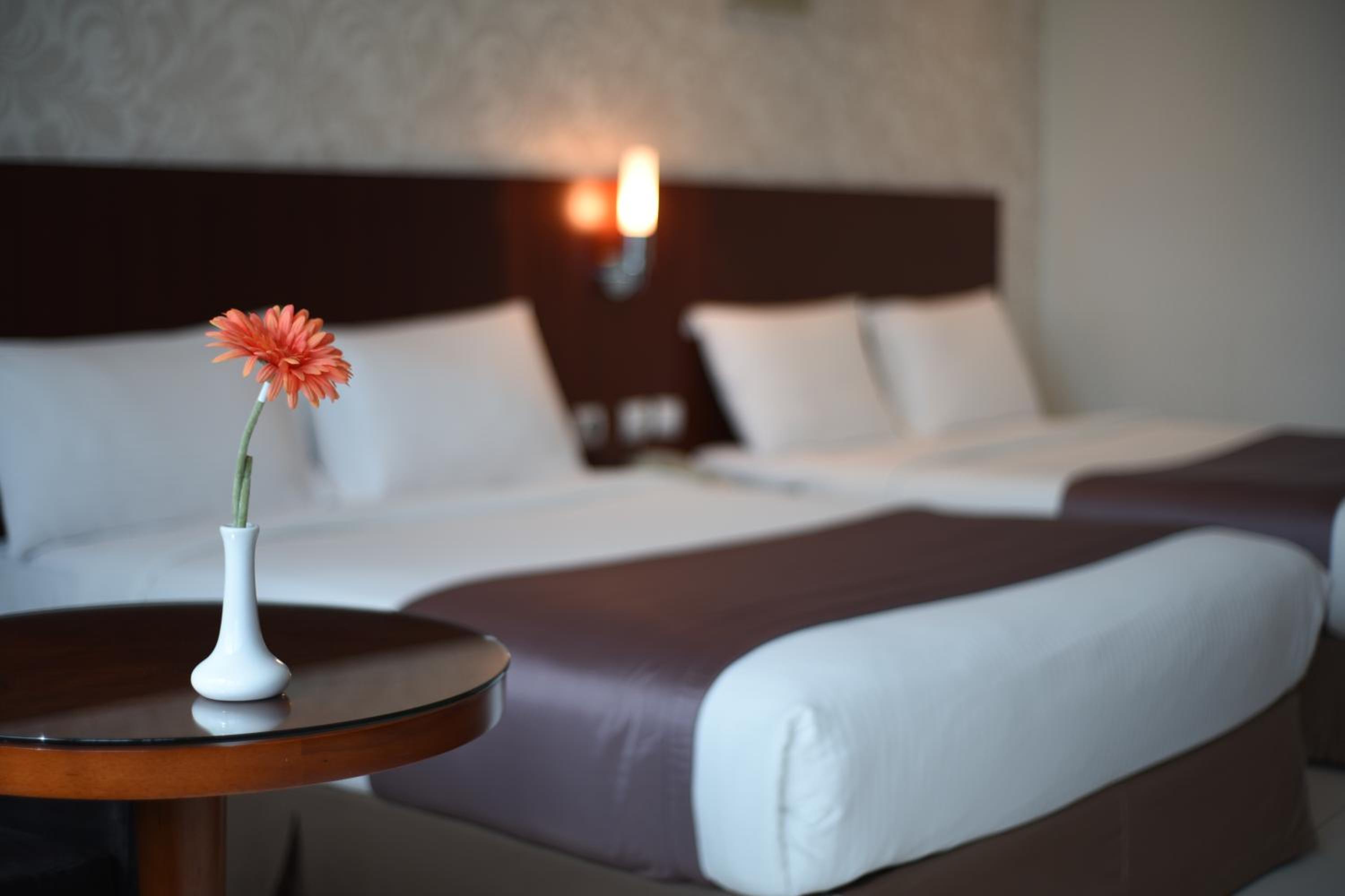 Deluxe Twin Room photo 2