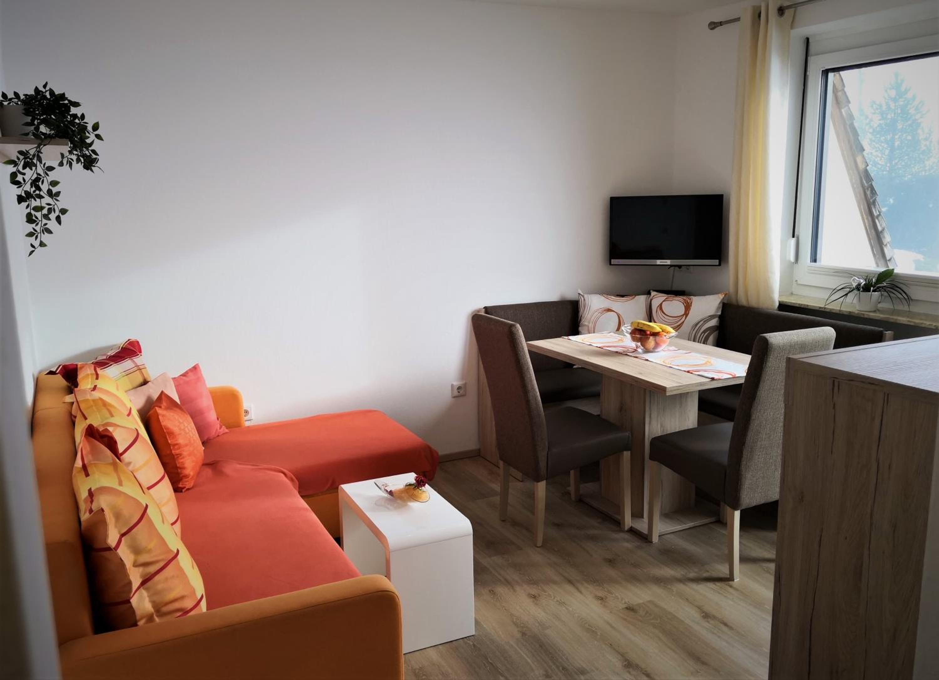 Apartment with Mountain View photo 3