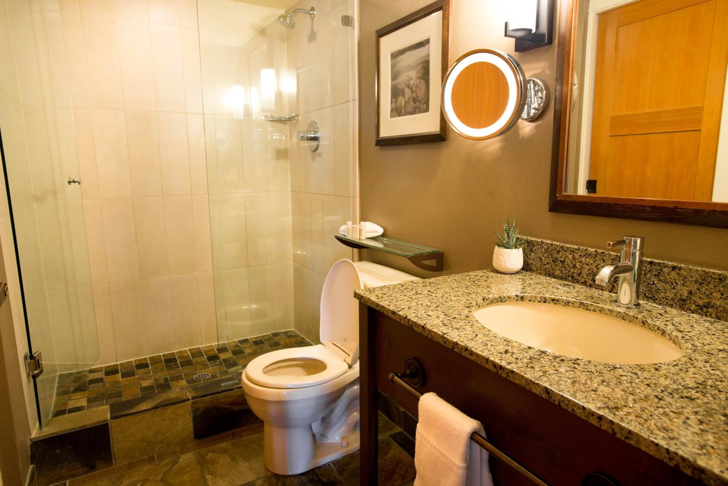 Two-Bedroom Suite - Premium Valley View - Photo 5