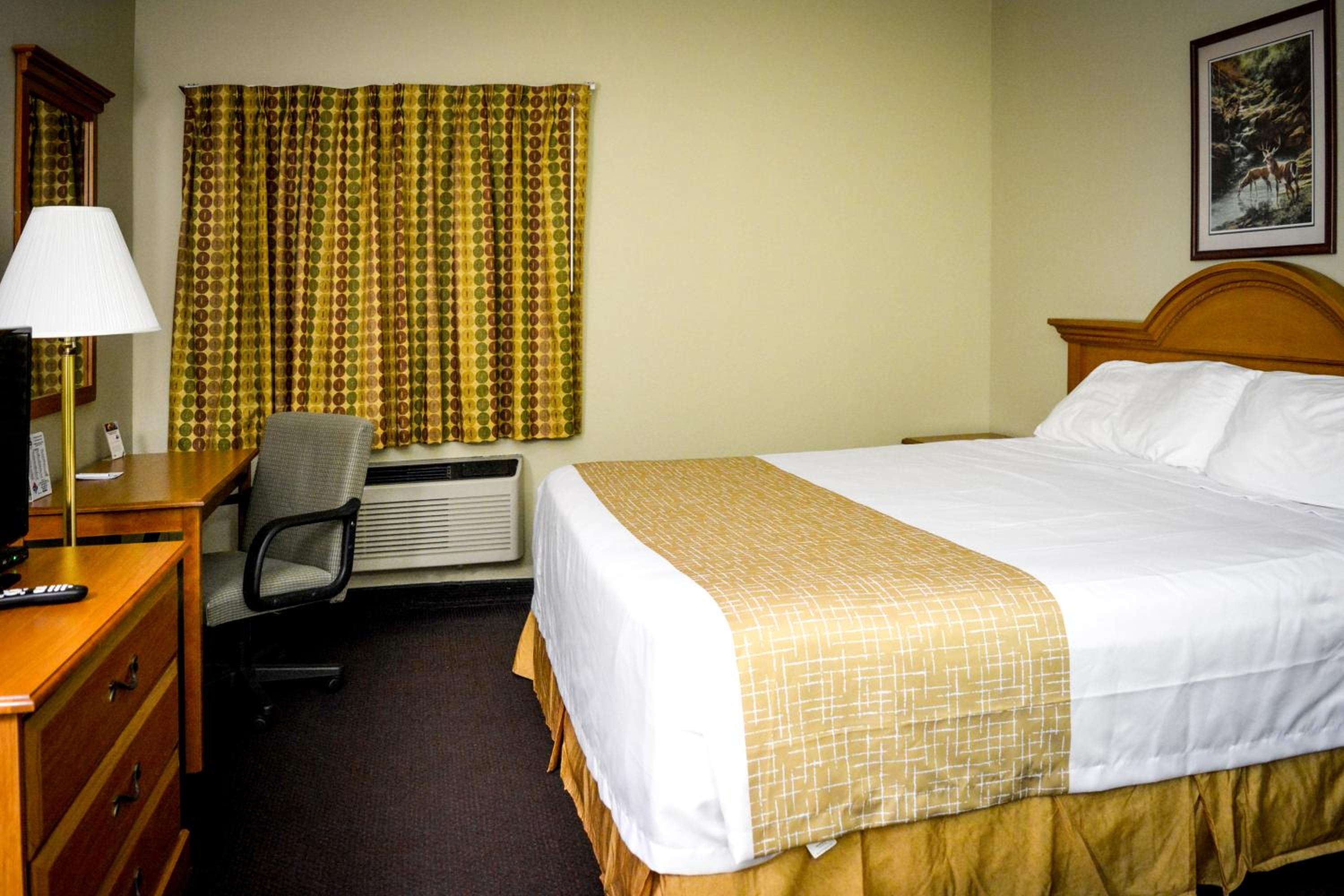 King Room - Non-Smoking - Photo 5