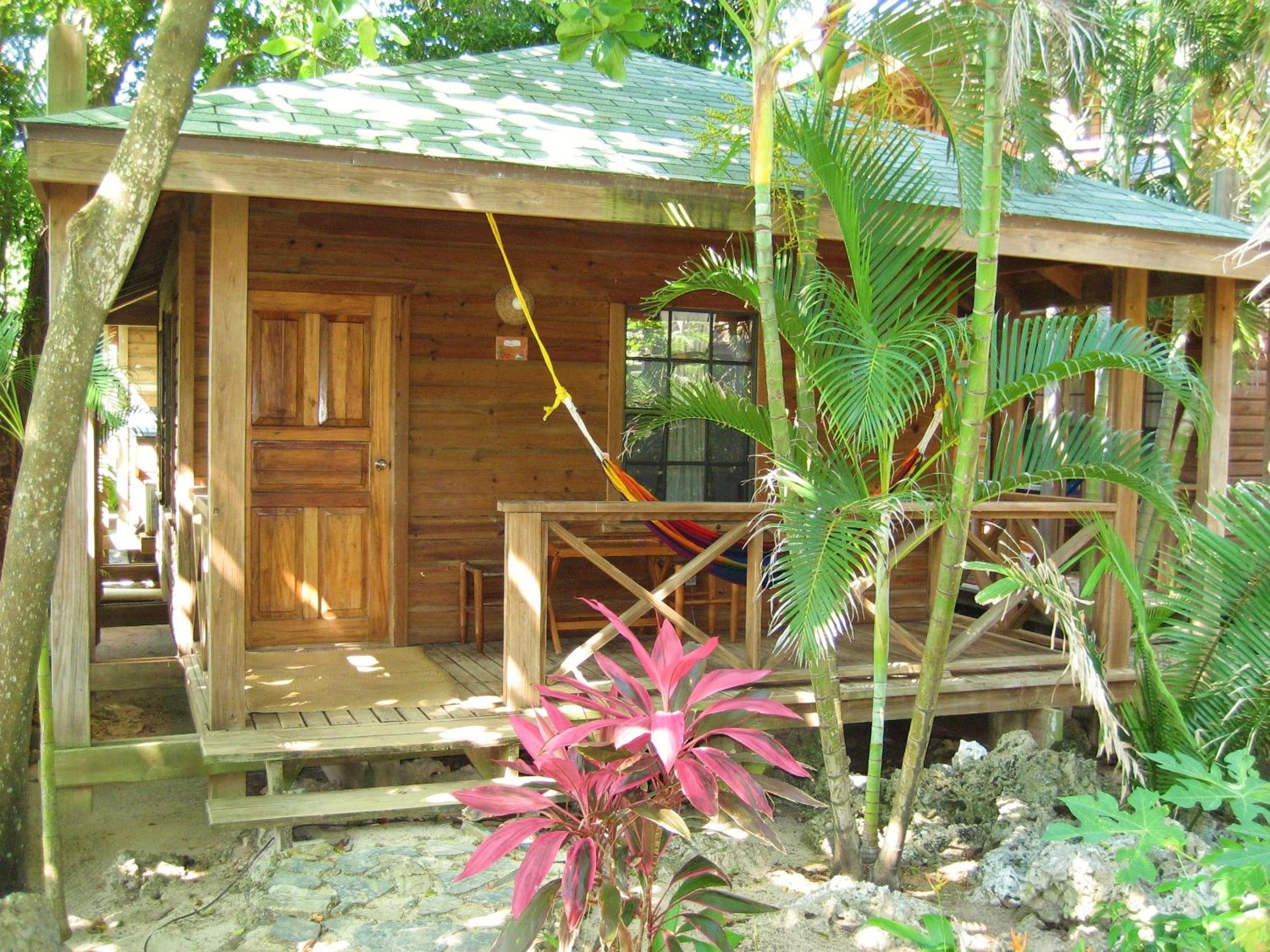 Standard Plus Bungalow photo 2