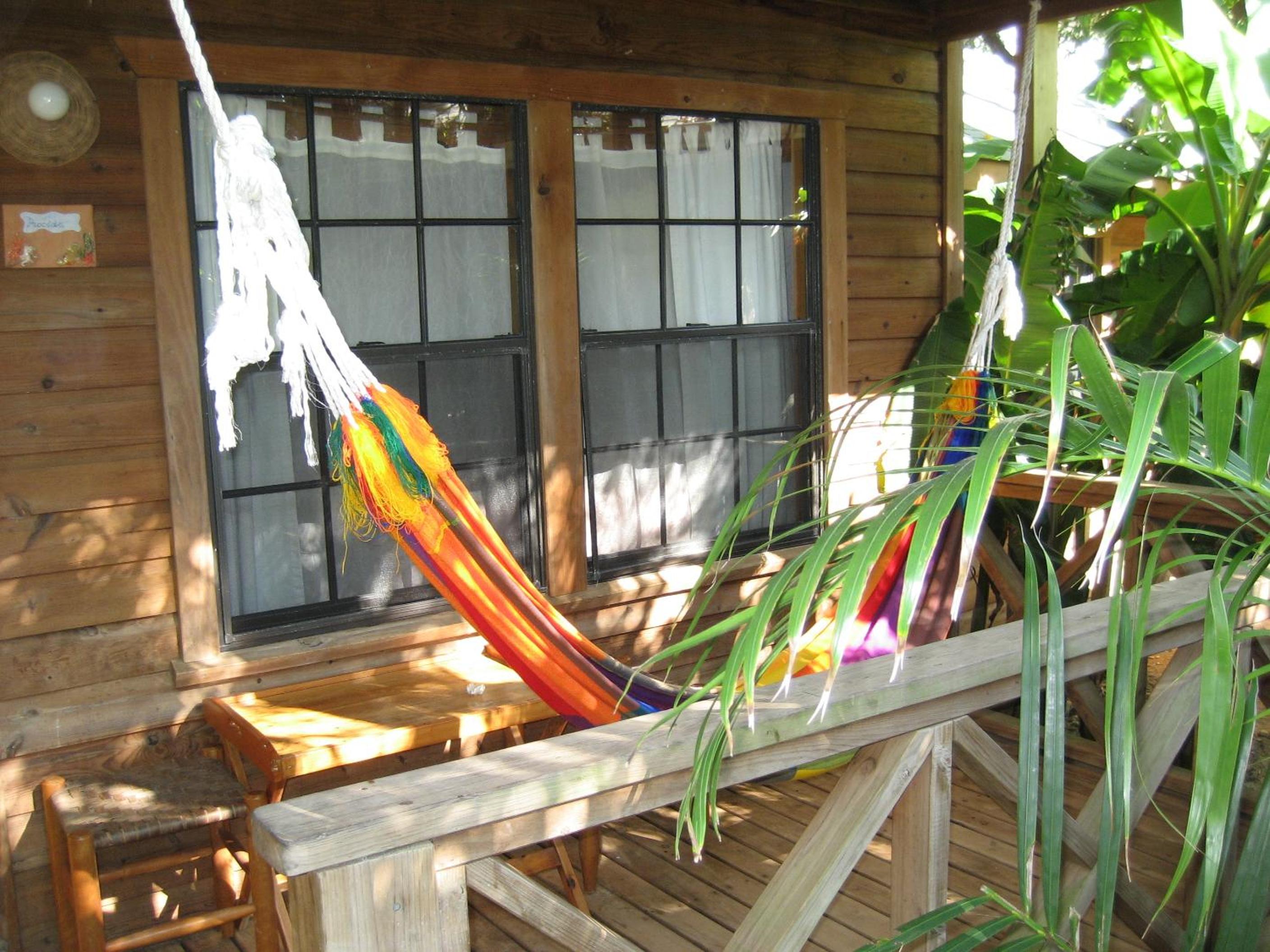 Standard Plus Bungalow photo 3