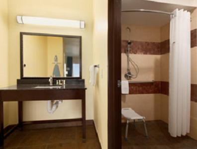 King Room with Roll-In Shower - Mobility Access/Non-Smoking - Photo 3