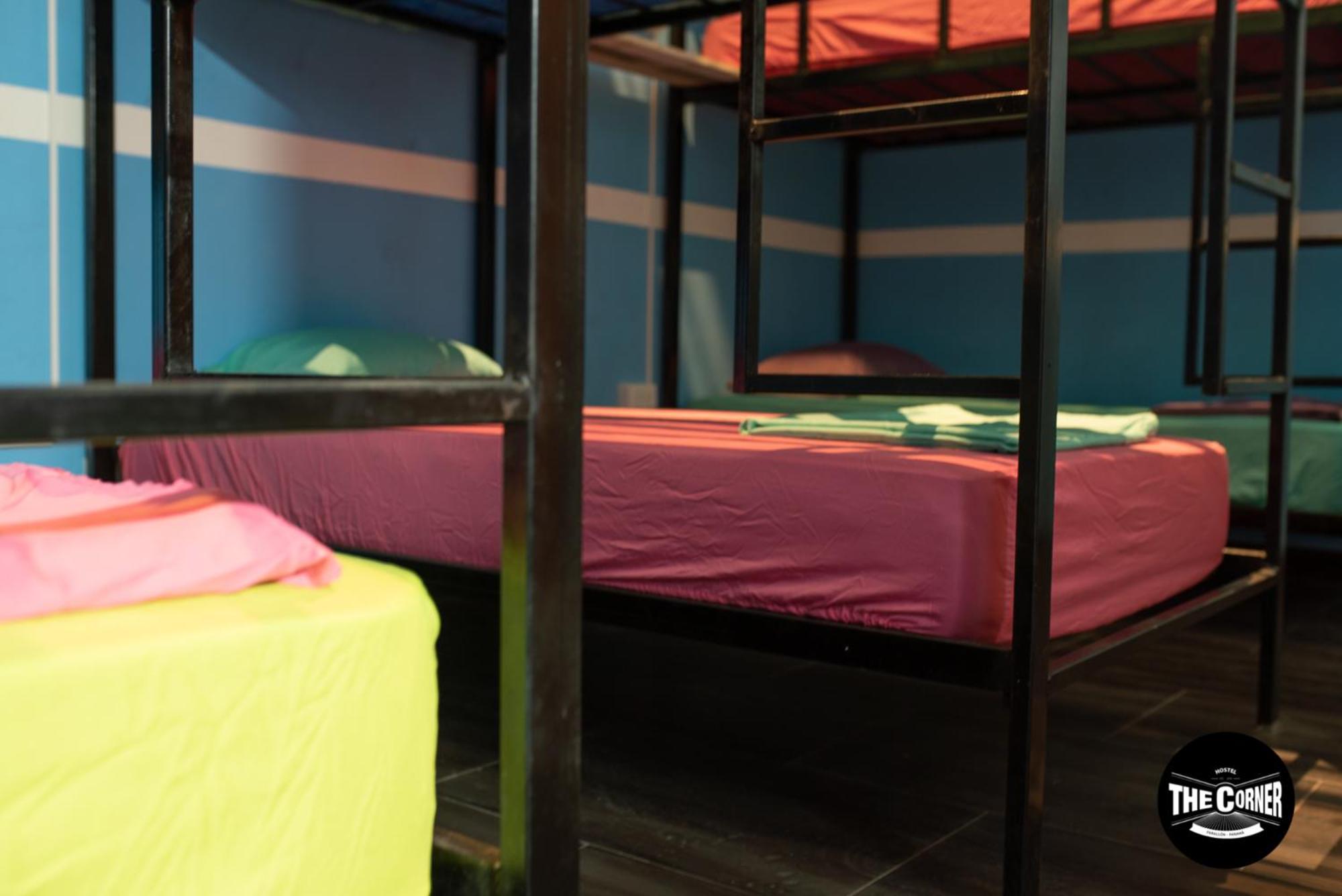 Bunk Bed in Mixed Dormitory Room photo 2