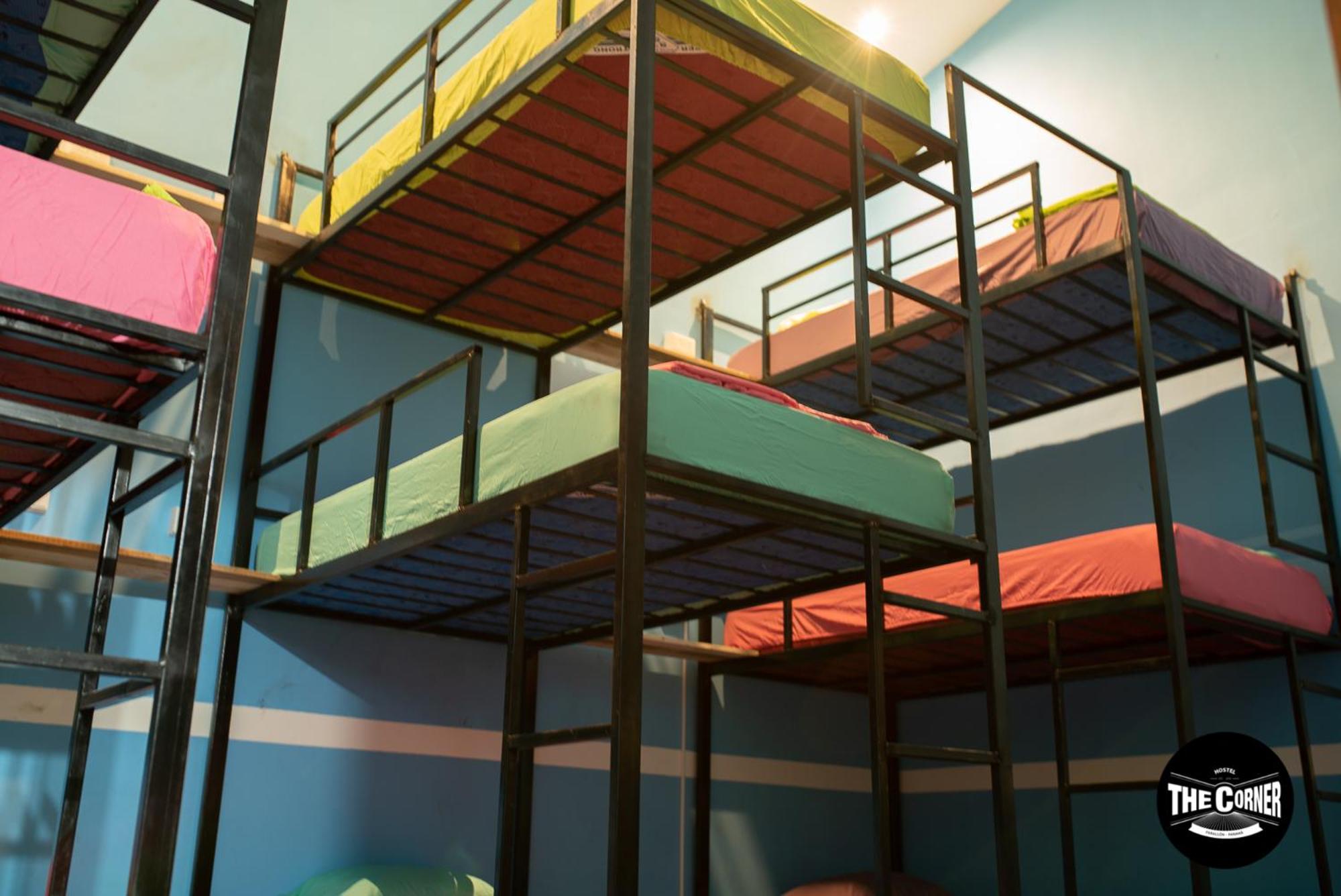 Bunk Bed in Mixed Dormitory Room photo 3