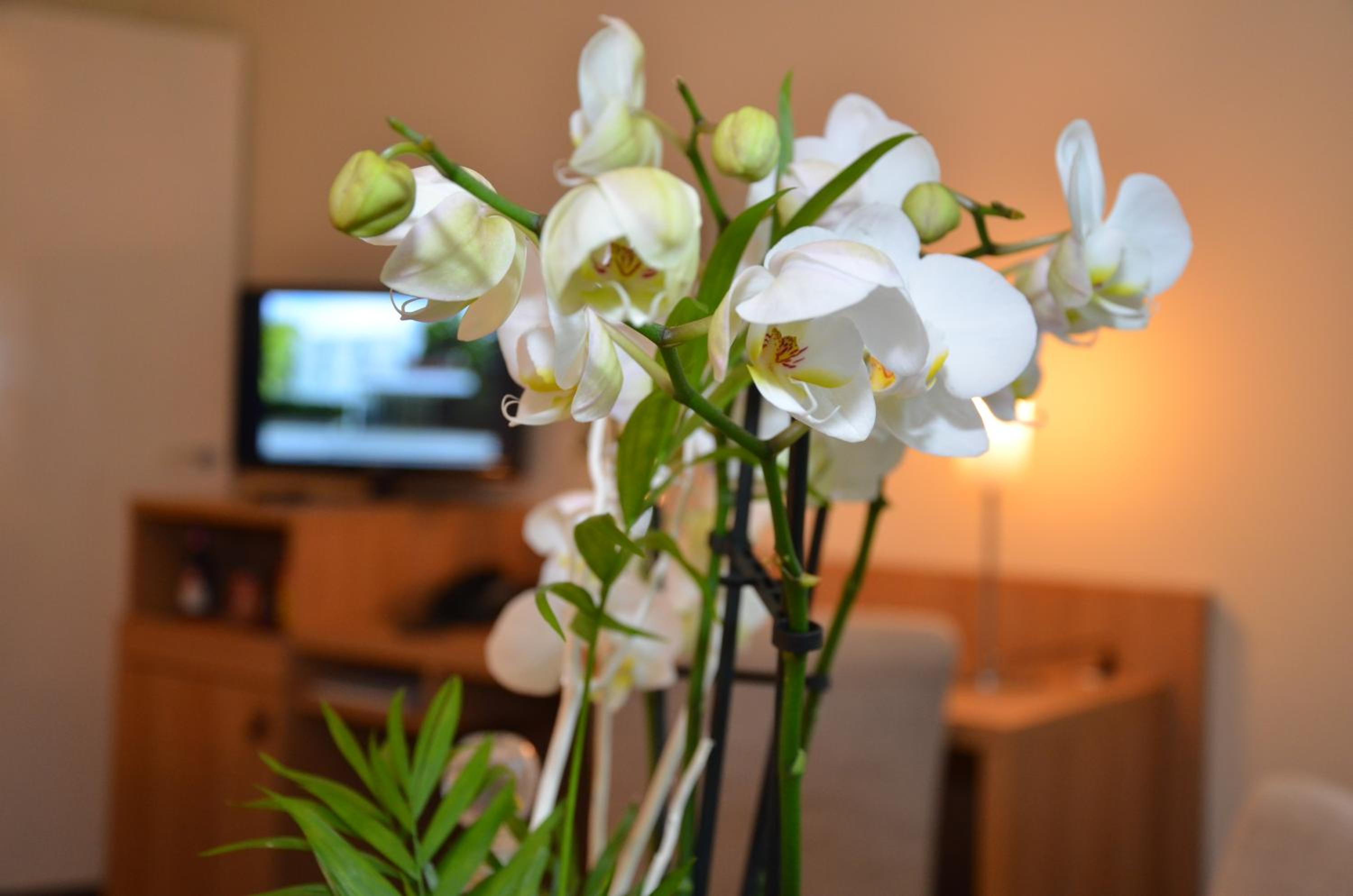 Standard Double Room thumbnail 5
