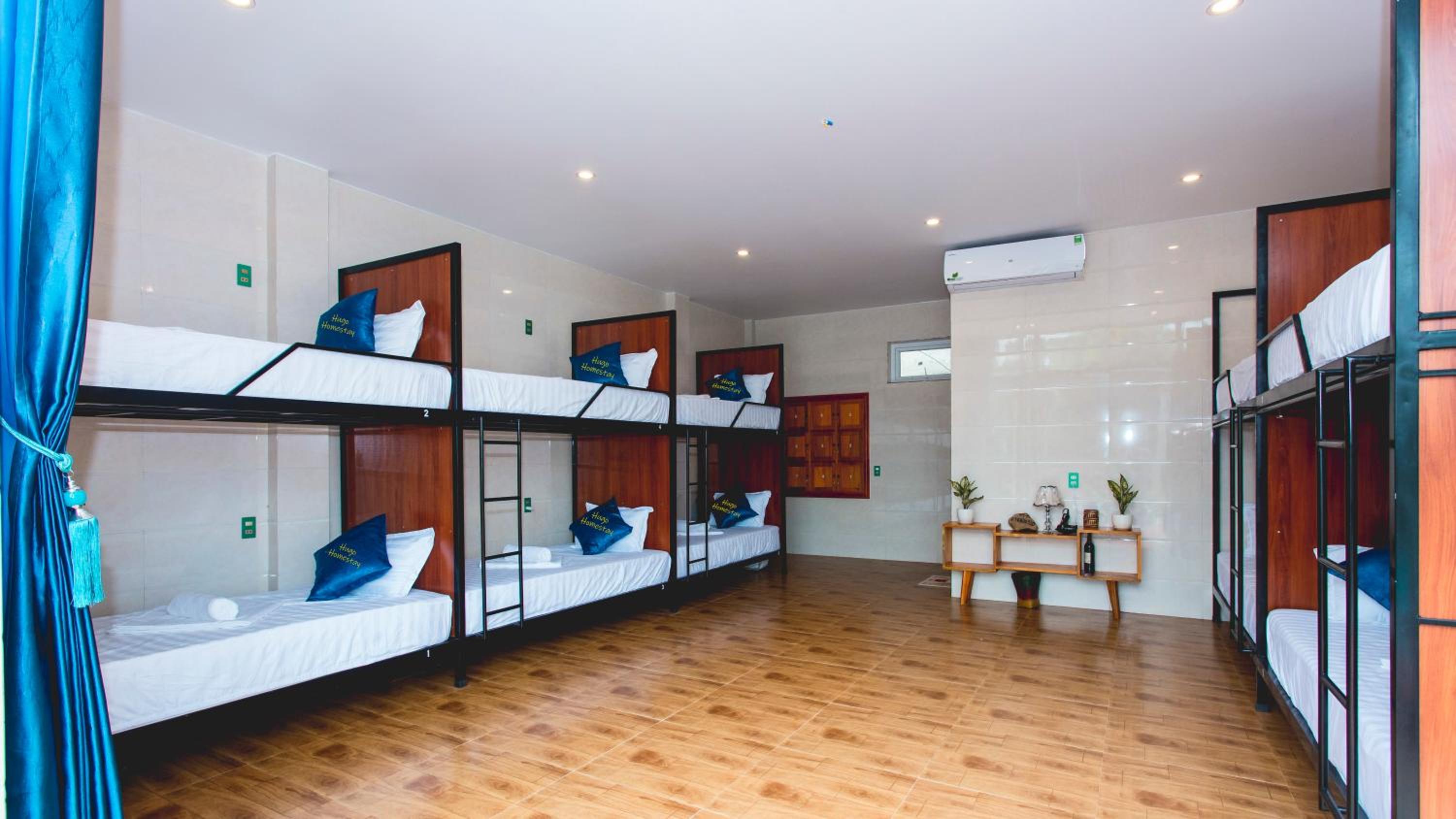 Bunk Bed in Mixed Dormitory Room photo 1