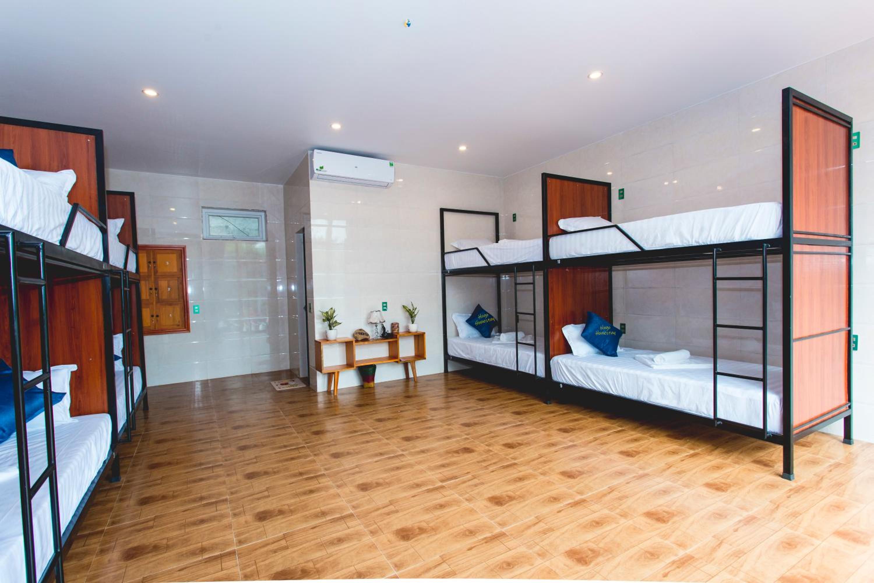 Bunk Bed in Mixed Dormitory Room photo 3
